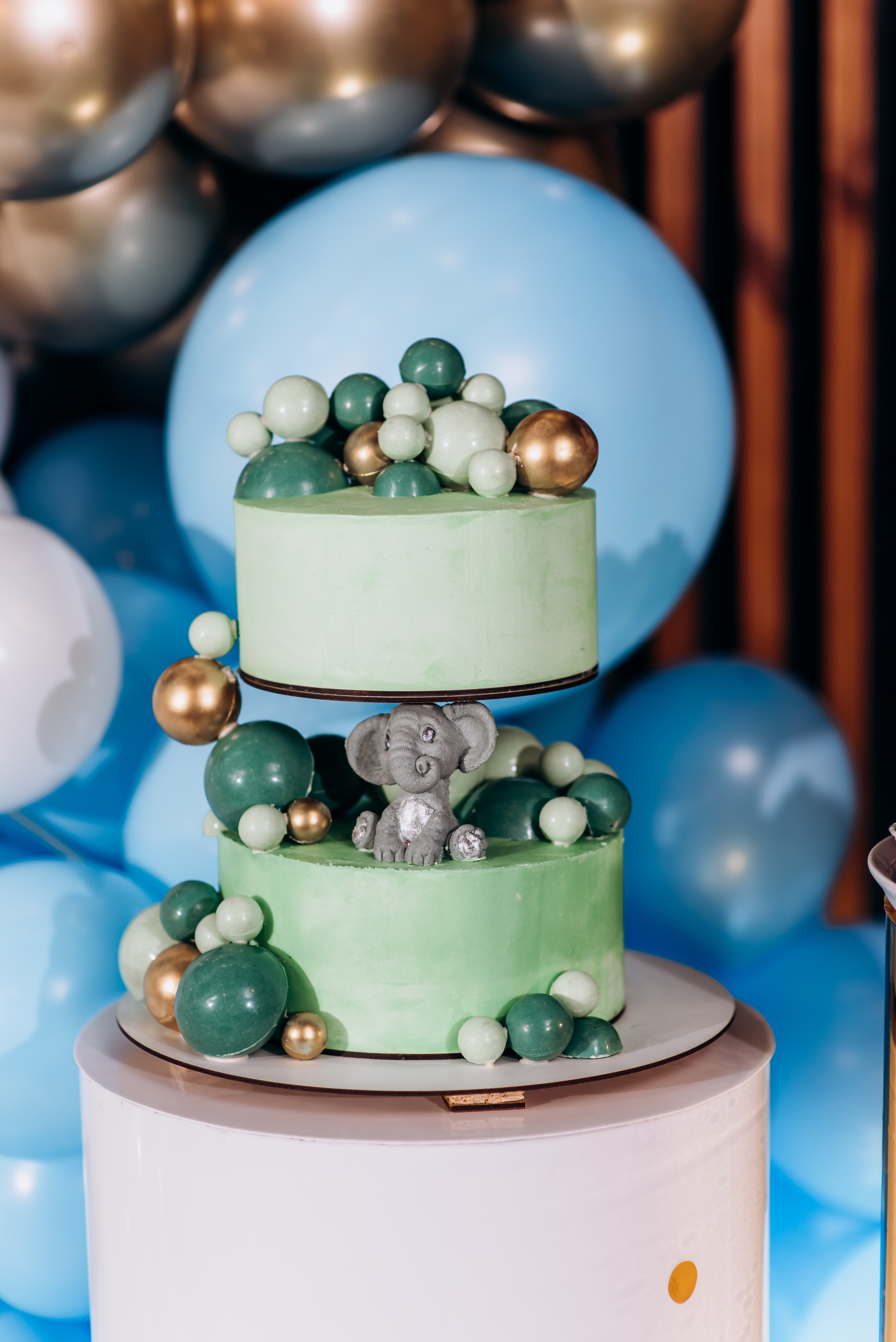 День народження. Весільний та сімейний фотограф Україна