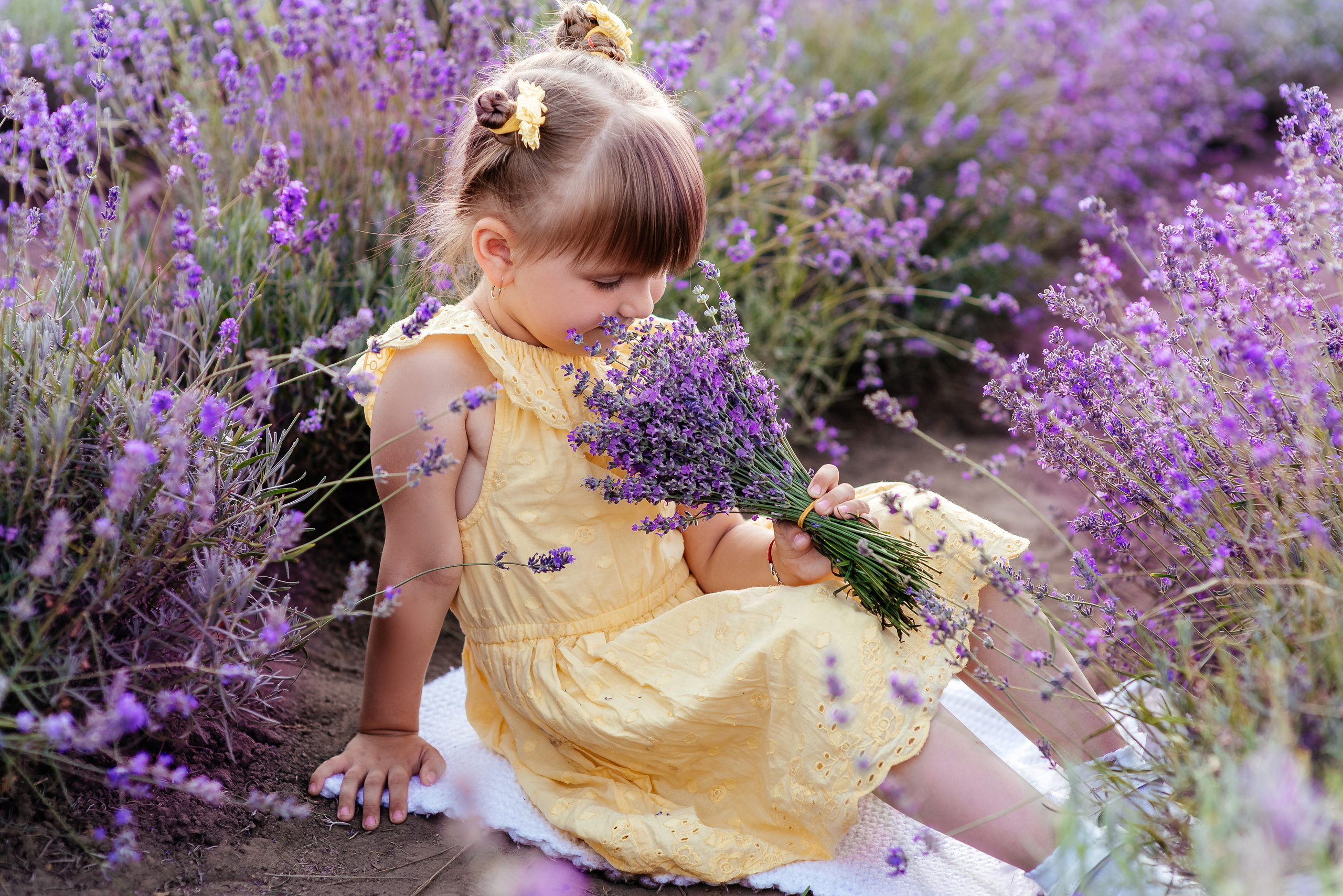 Лаванда. Весільний та сімейний фотограф Україна