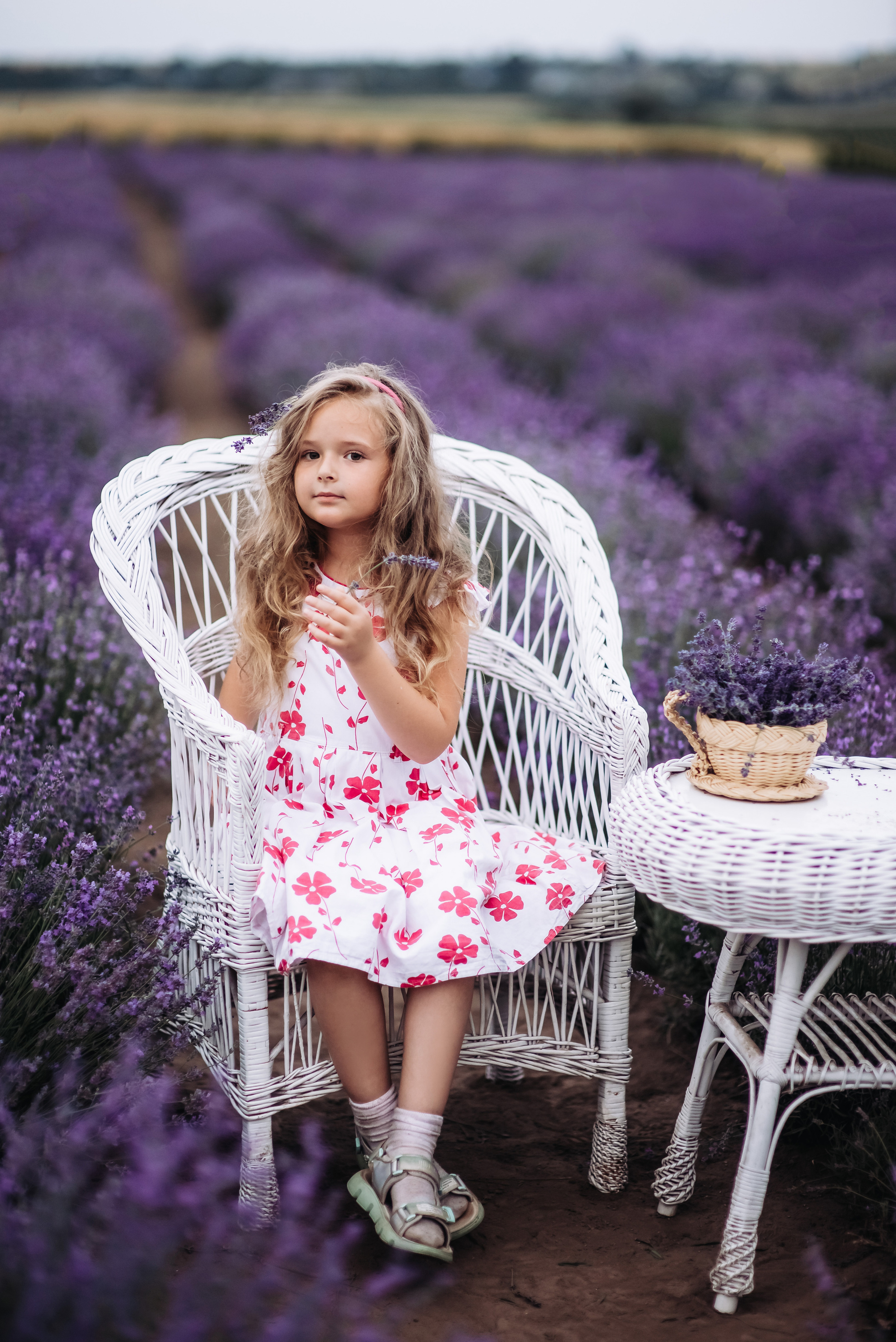 Лаванда. Весільний та сімейний фотограф Україна