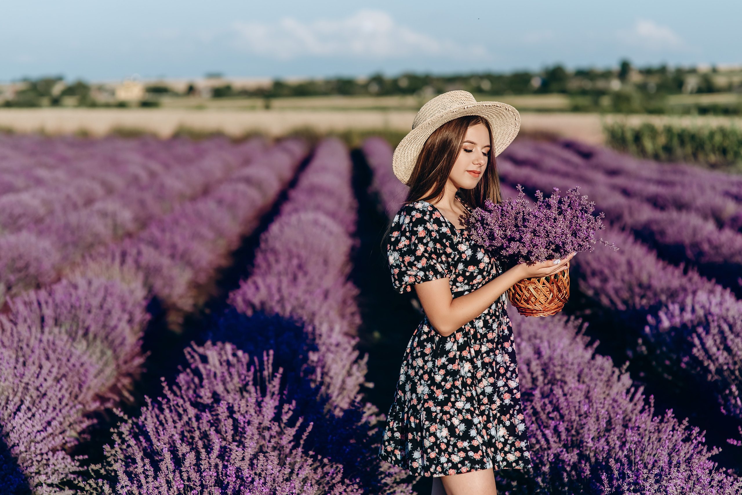 Таня і Діма лаванда. Весільний та сімейний фотограф Україна