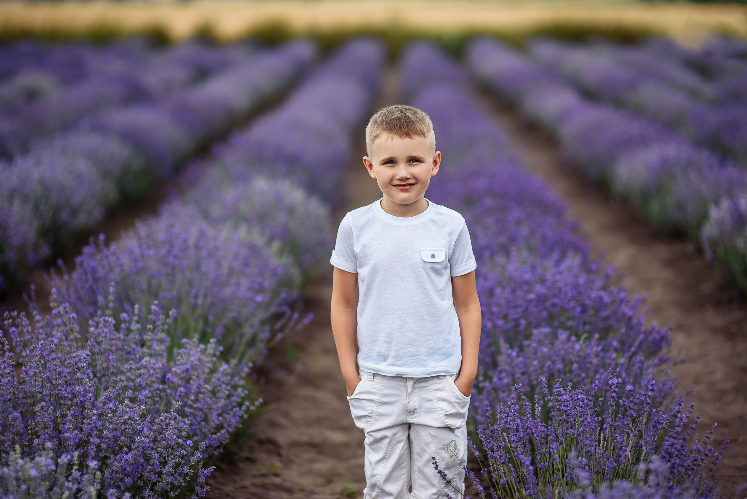 Лаванда. Весільний та сімейний фотограф Україна