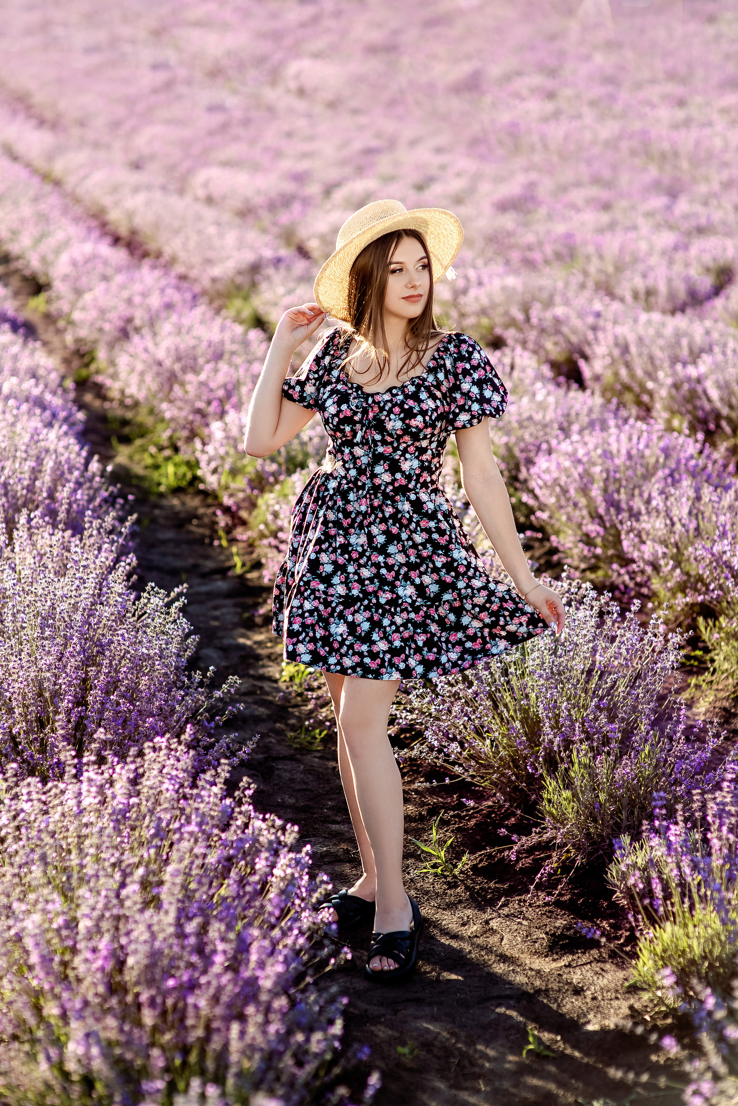 Таня і Діма лаванда. Весільний та сімейний фотограф Україна