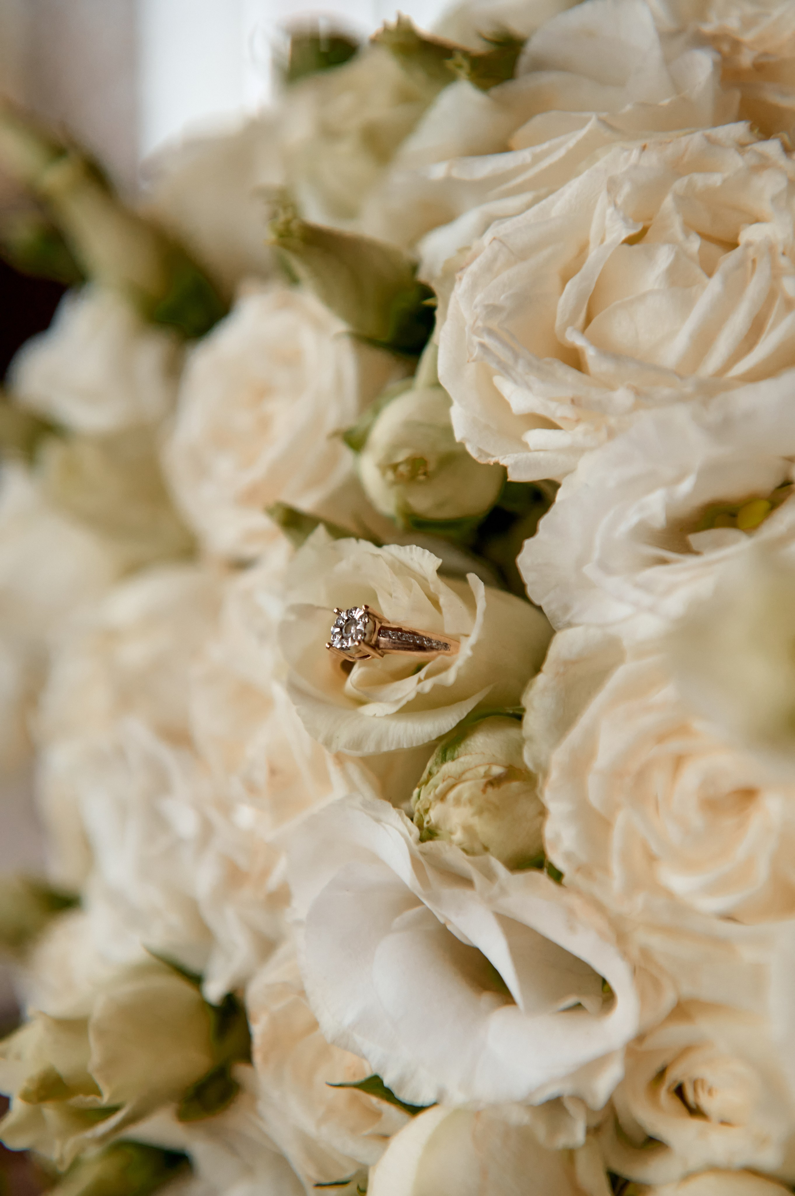 Wedding Day. Весільний та сімейний фотограф Україна
