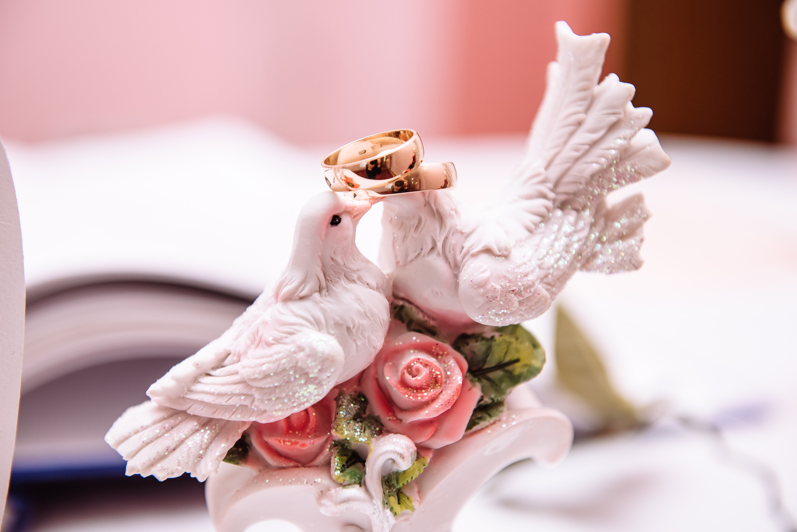 Весільна фотосесія. Весільний та сімейний фотограф Україна