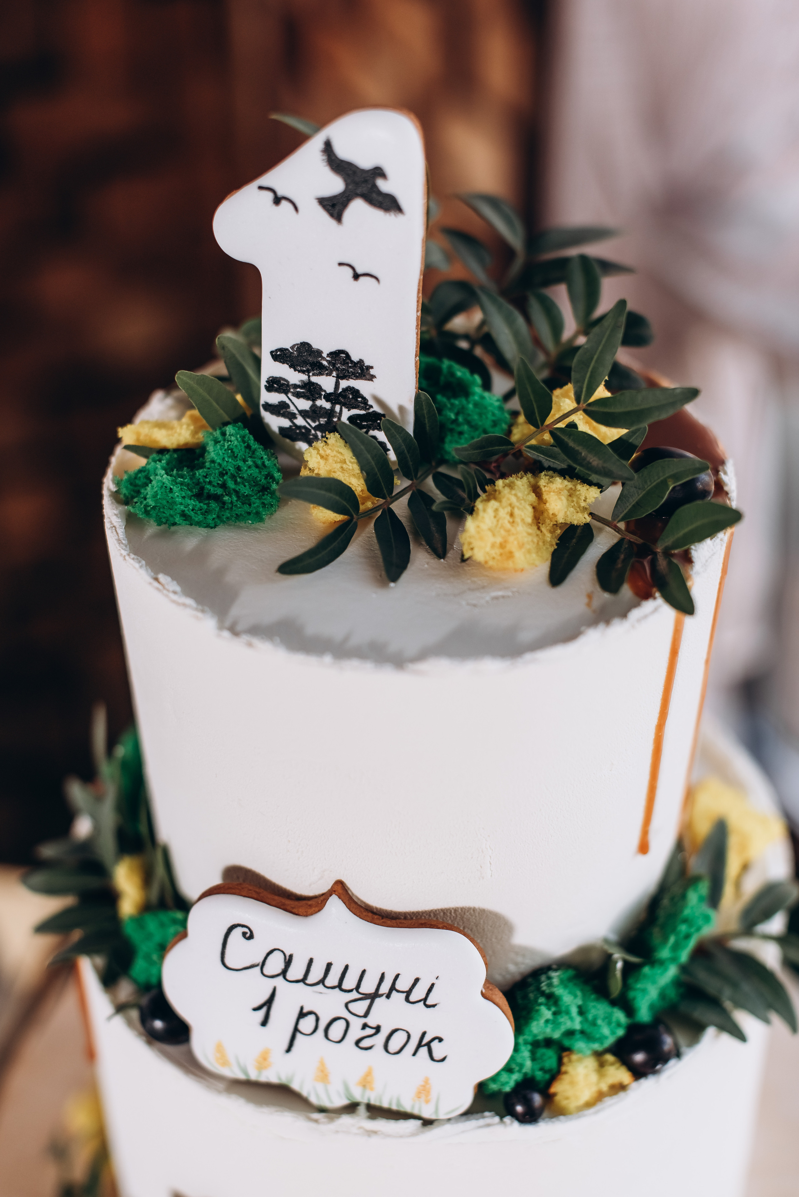 День народження. Весільний та сімейний фотограф Україна