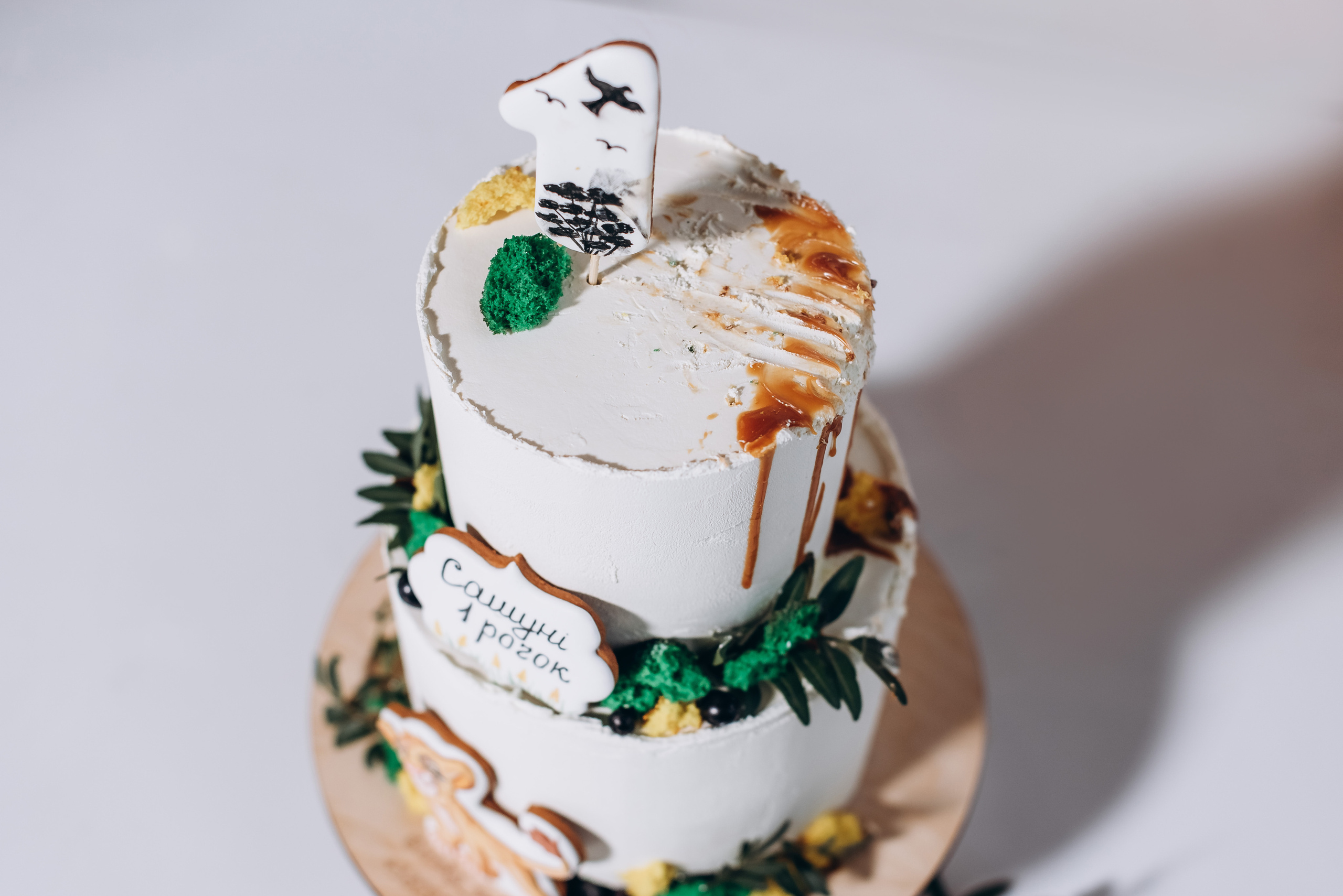 День народження. Весільний та сімейний фотограф Україна