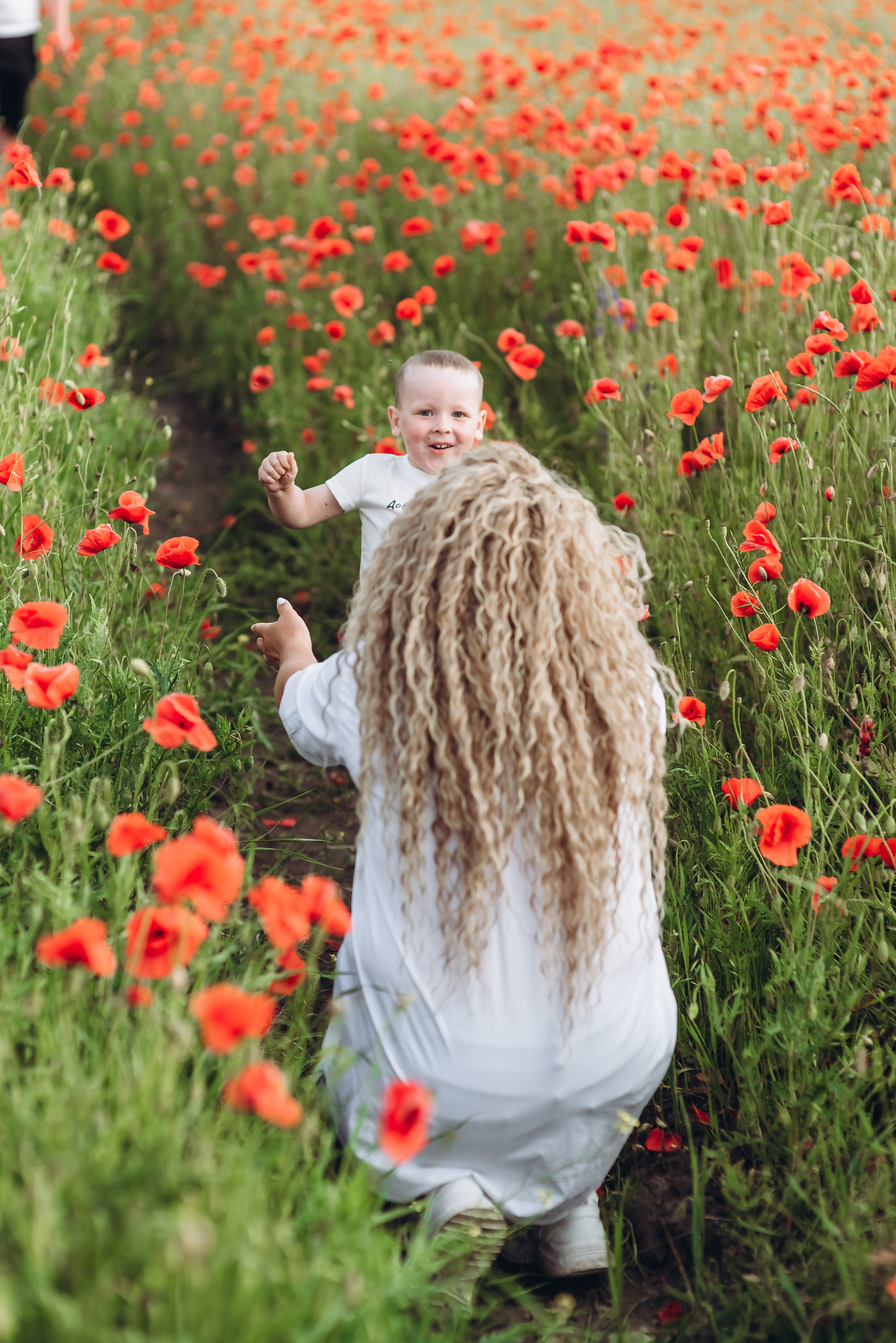 Маки. Весільний та сімейний фотограф Україна