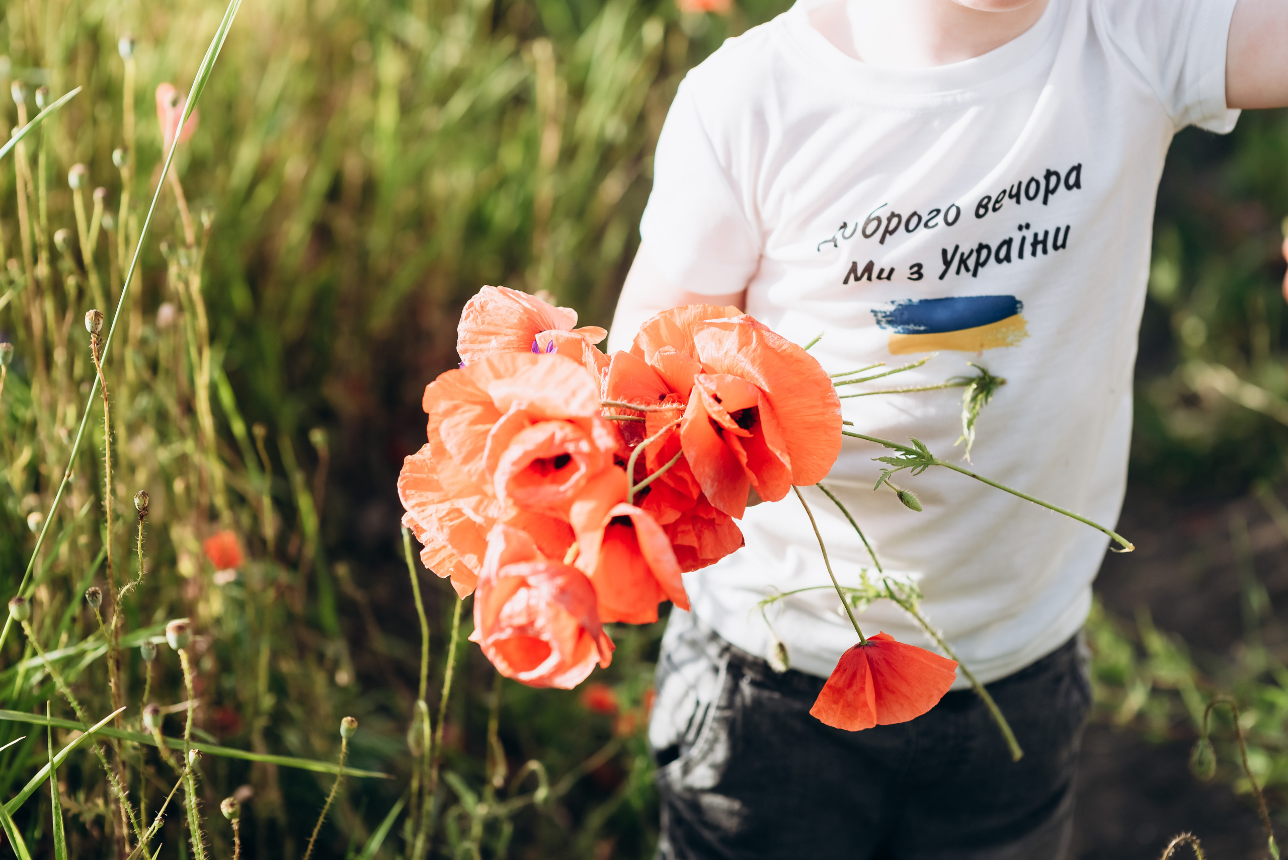Маки. Весільний та сімейний фотограф Україна