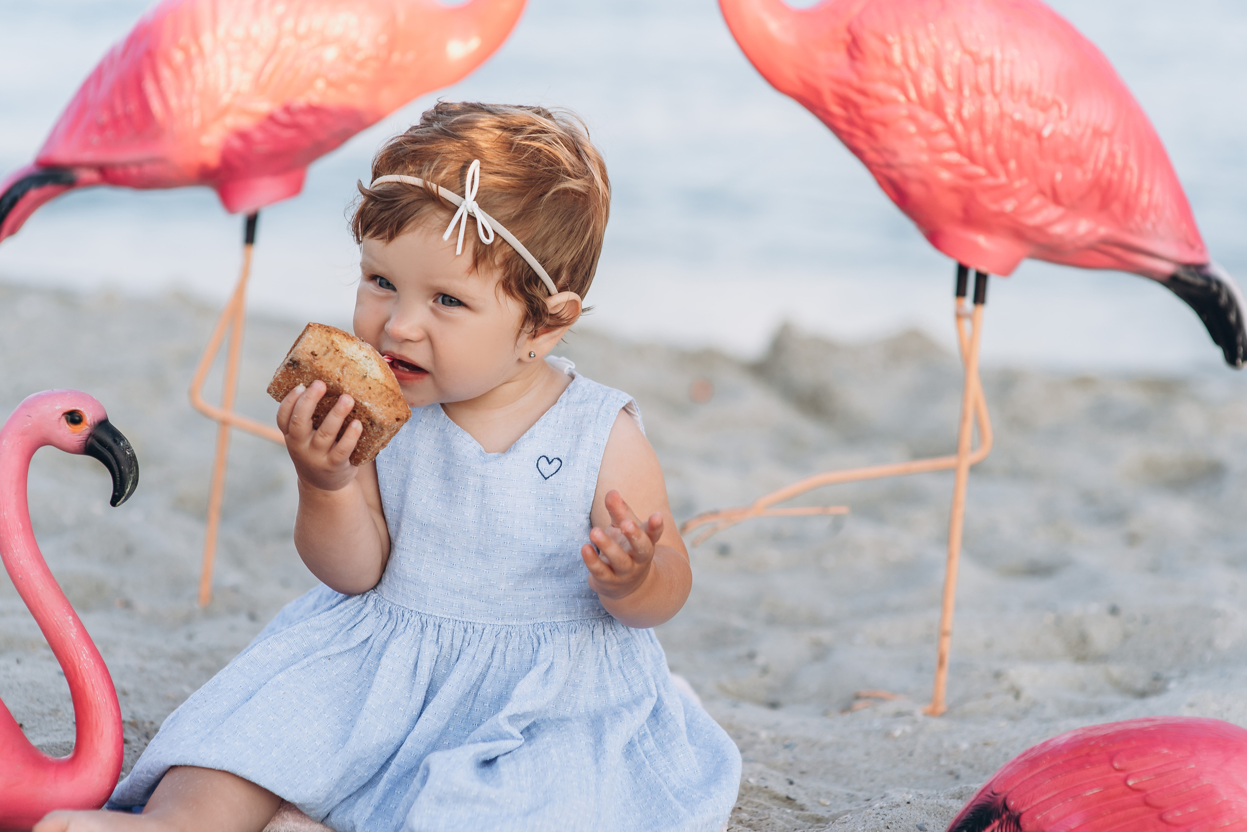 День народження. Весільний та сімейний фотограф Україна