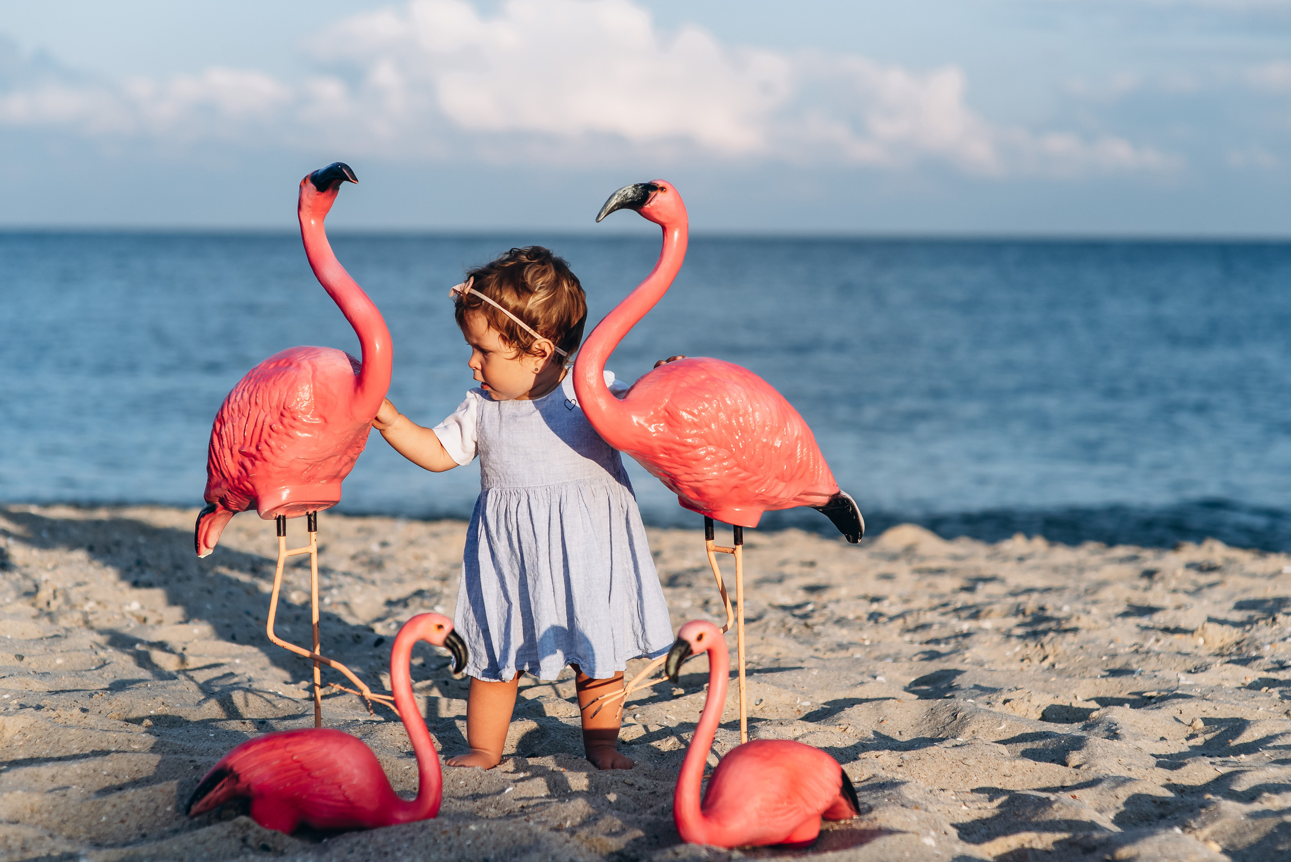 День народження. Весільний та сімейний фотограф Україна