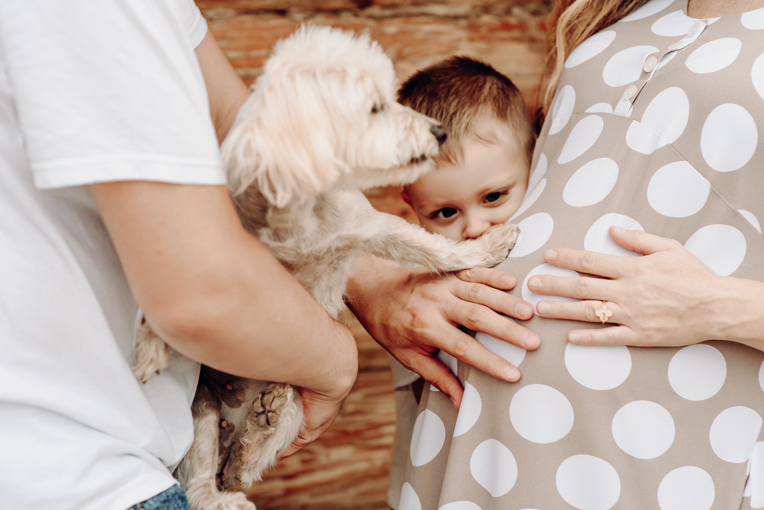 Сімейна. Весільний та сімейний фотограф Україна