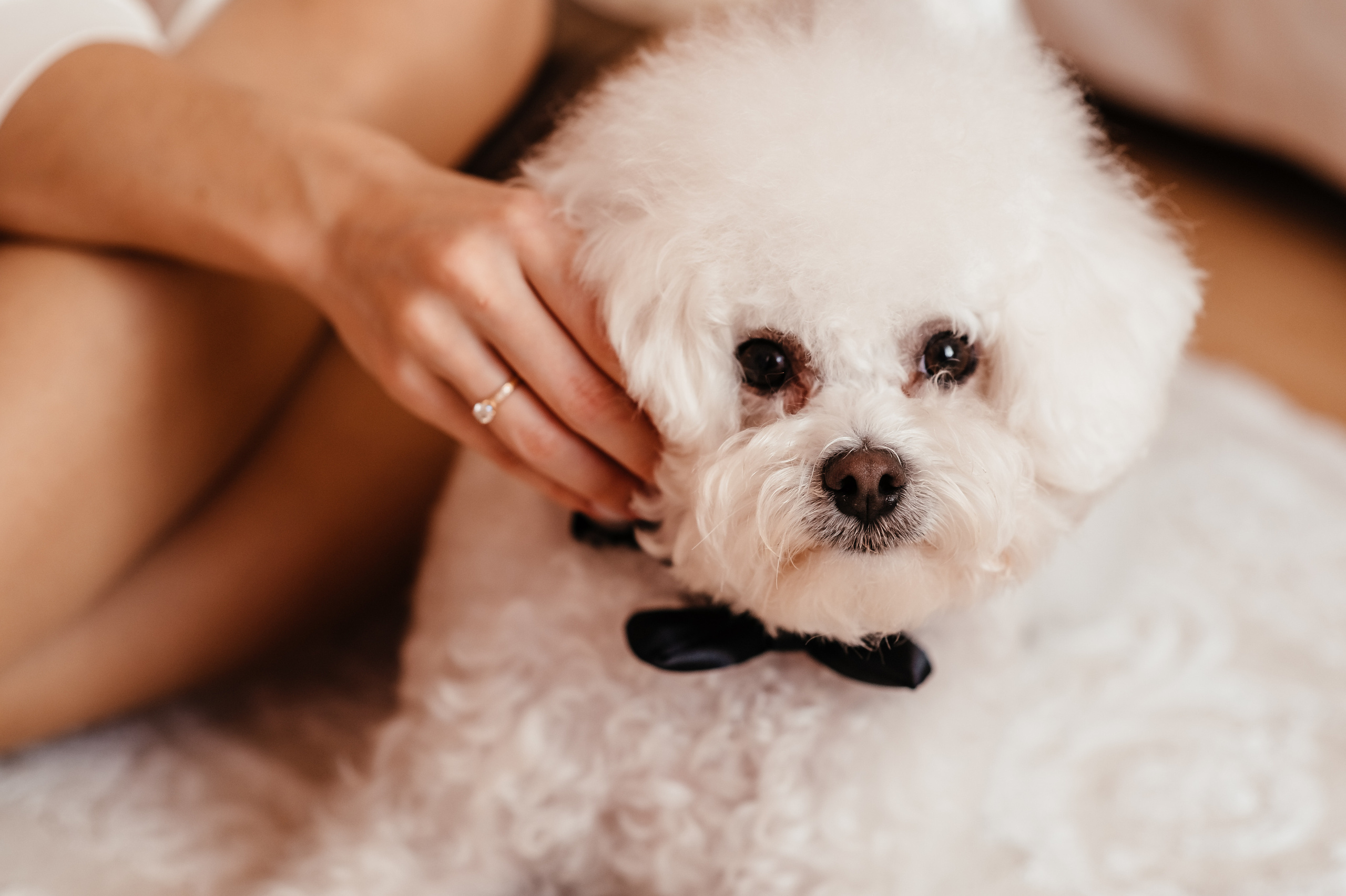 Юлія та Сергій (анонс). Весільний та сімейний фотограф Україна