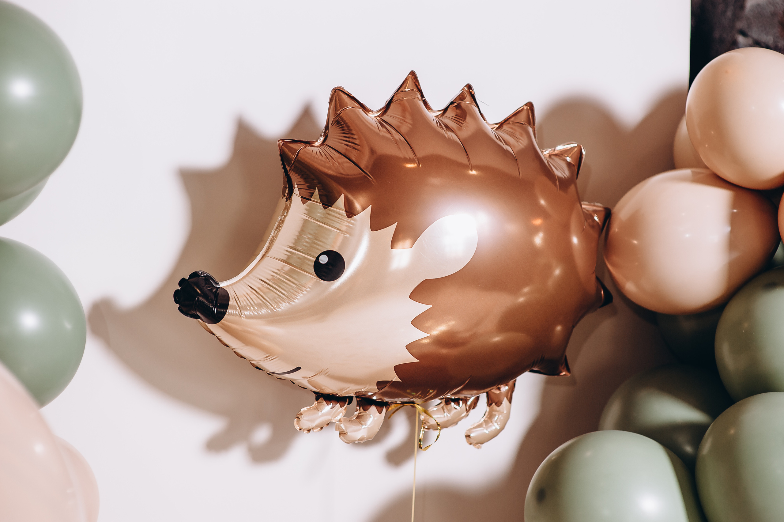 День народження. Весільний та сімейний фотограф Україна