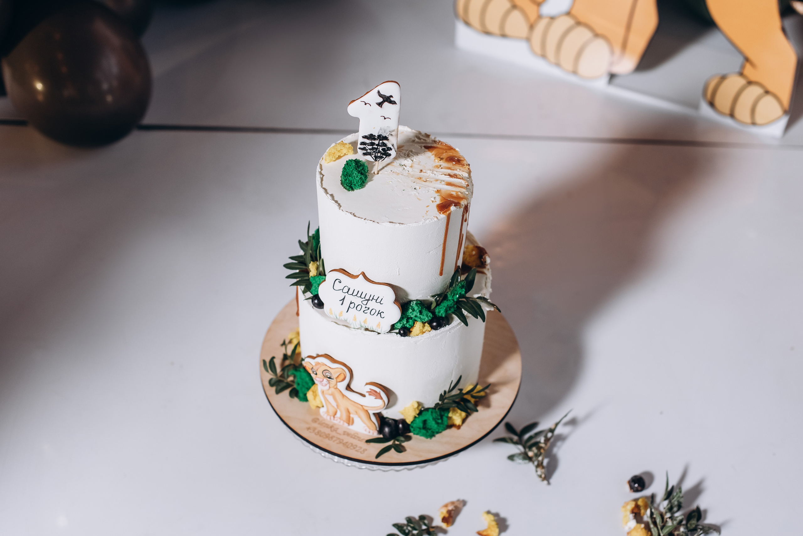 День народження. Весільний та сімейний фотограф Україна