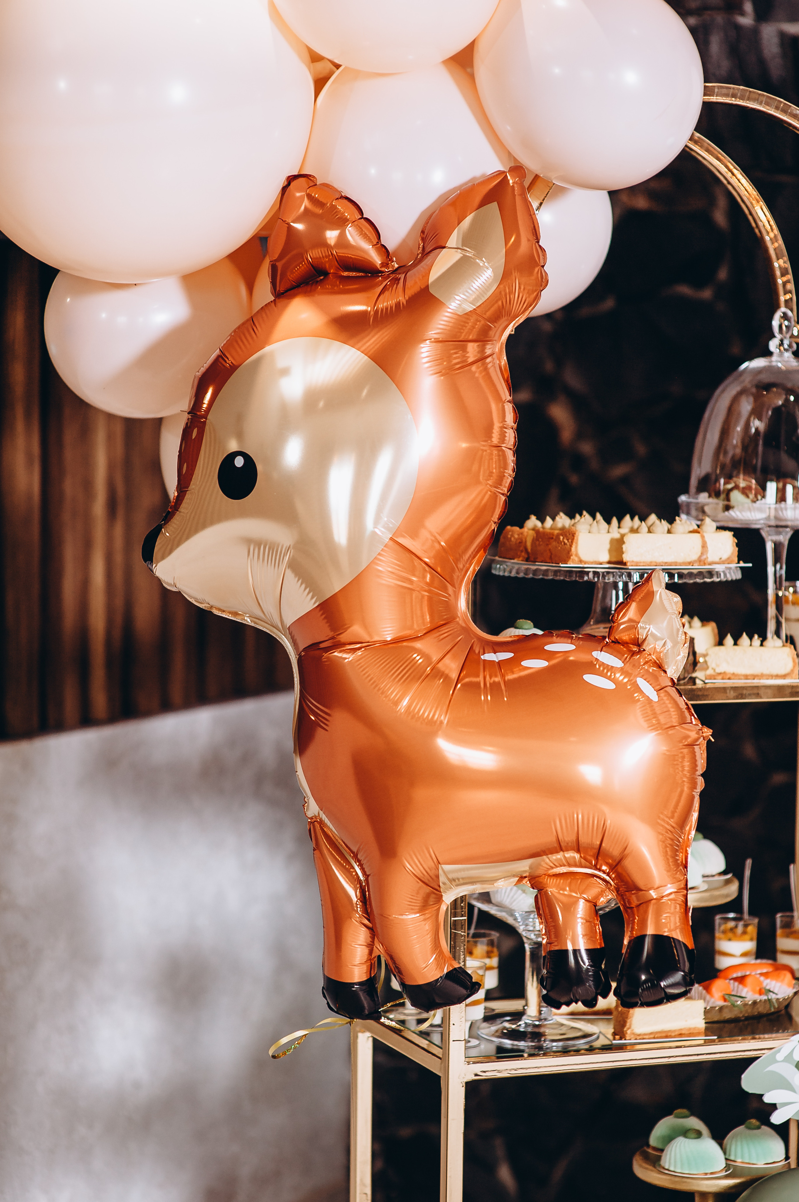 День народження. Весільний та сімейний фотограф Україна