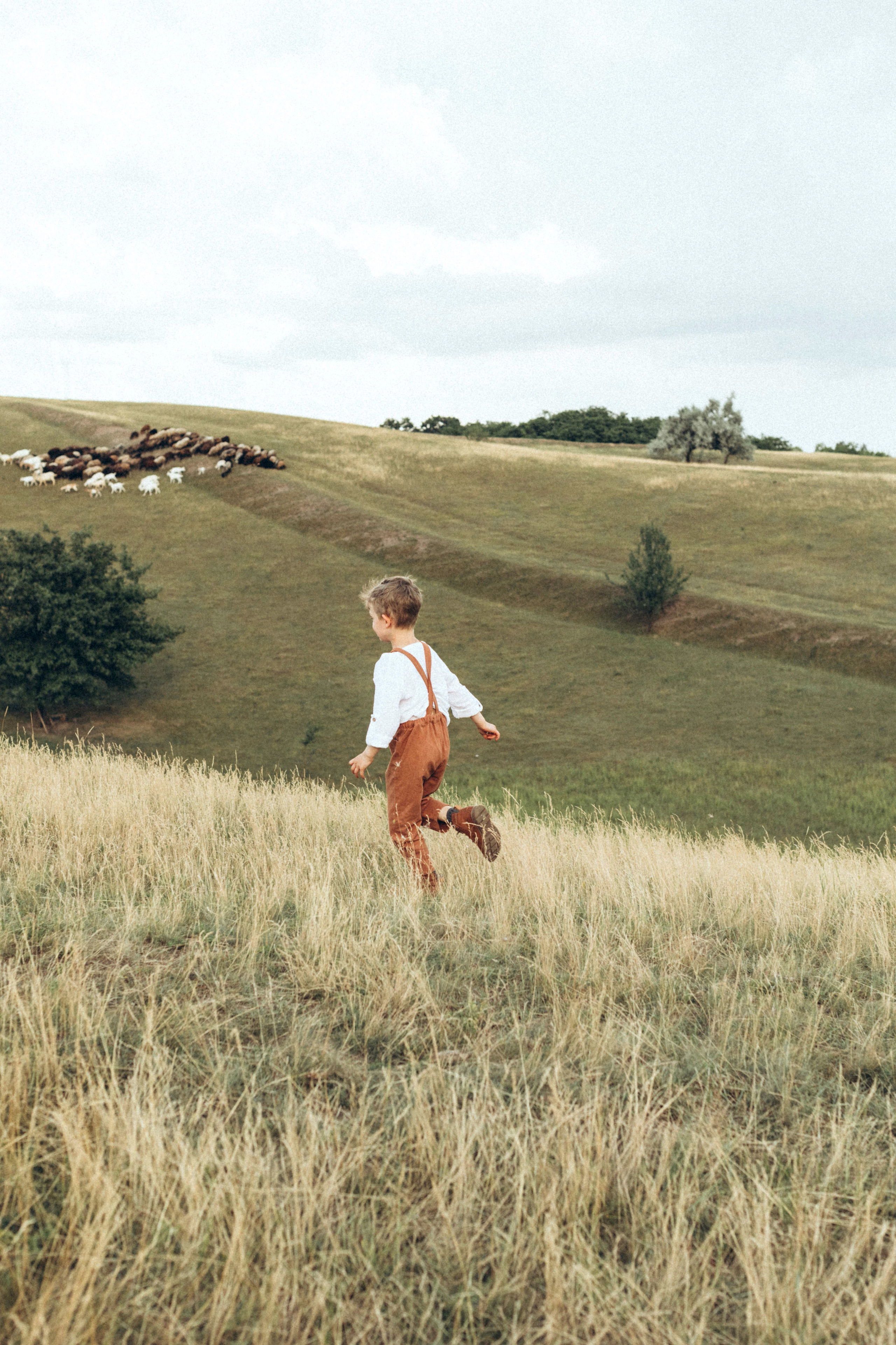 Одного разу на вівчарні: Денис, Віка і Владік. Twolovingsouls™: жіночий портрет і сімейна фотографія Київ | Ірпінь