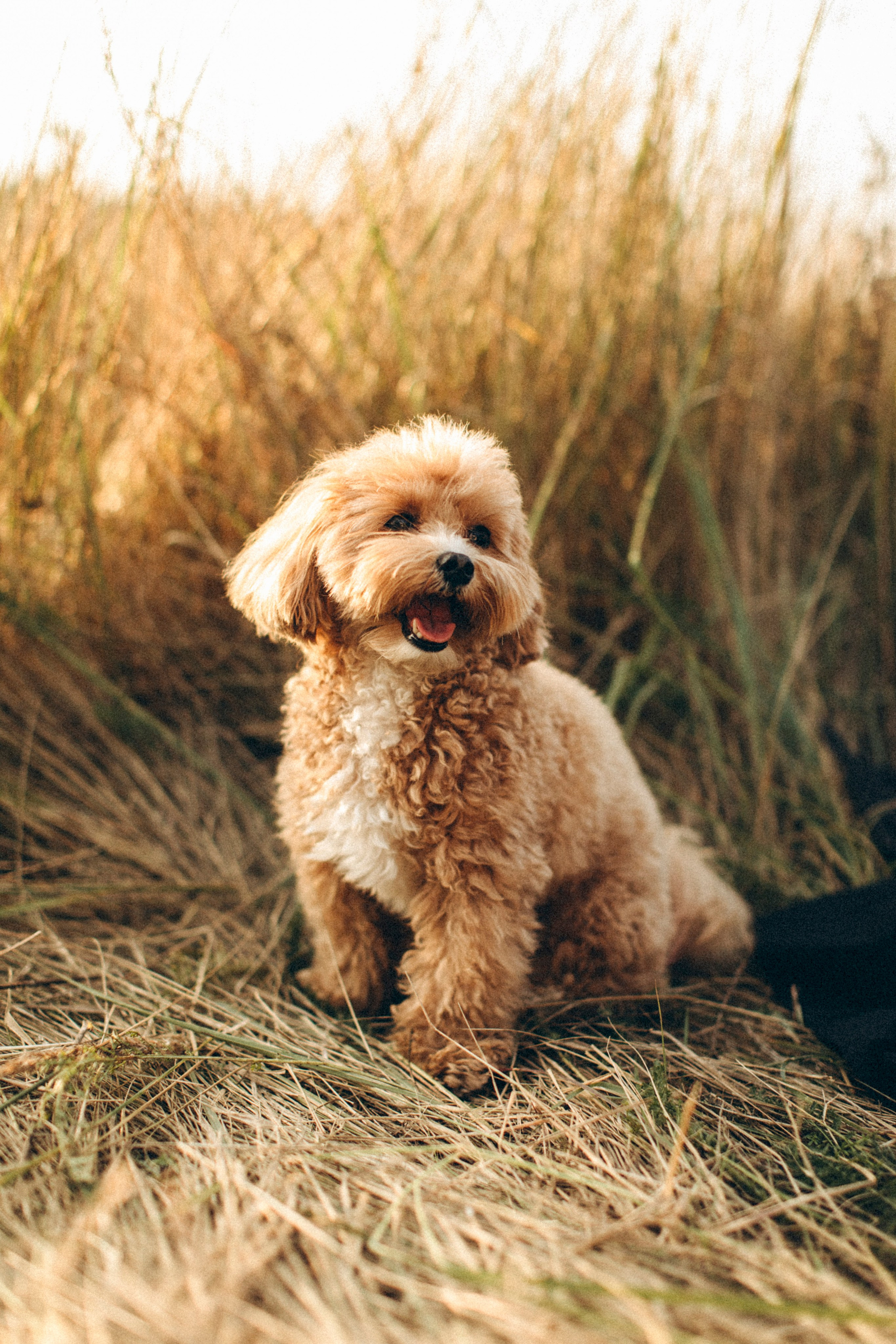 Костя, Тетяна, Дар’я і Олександр. Twolovingsouls™: жіночий портрет і сімейна фотографія Київ | Ірпінь