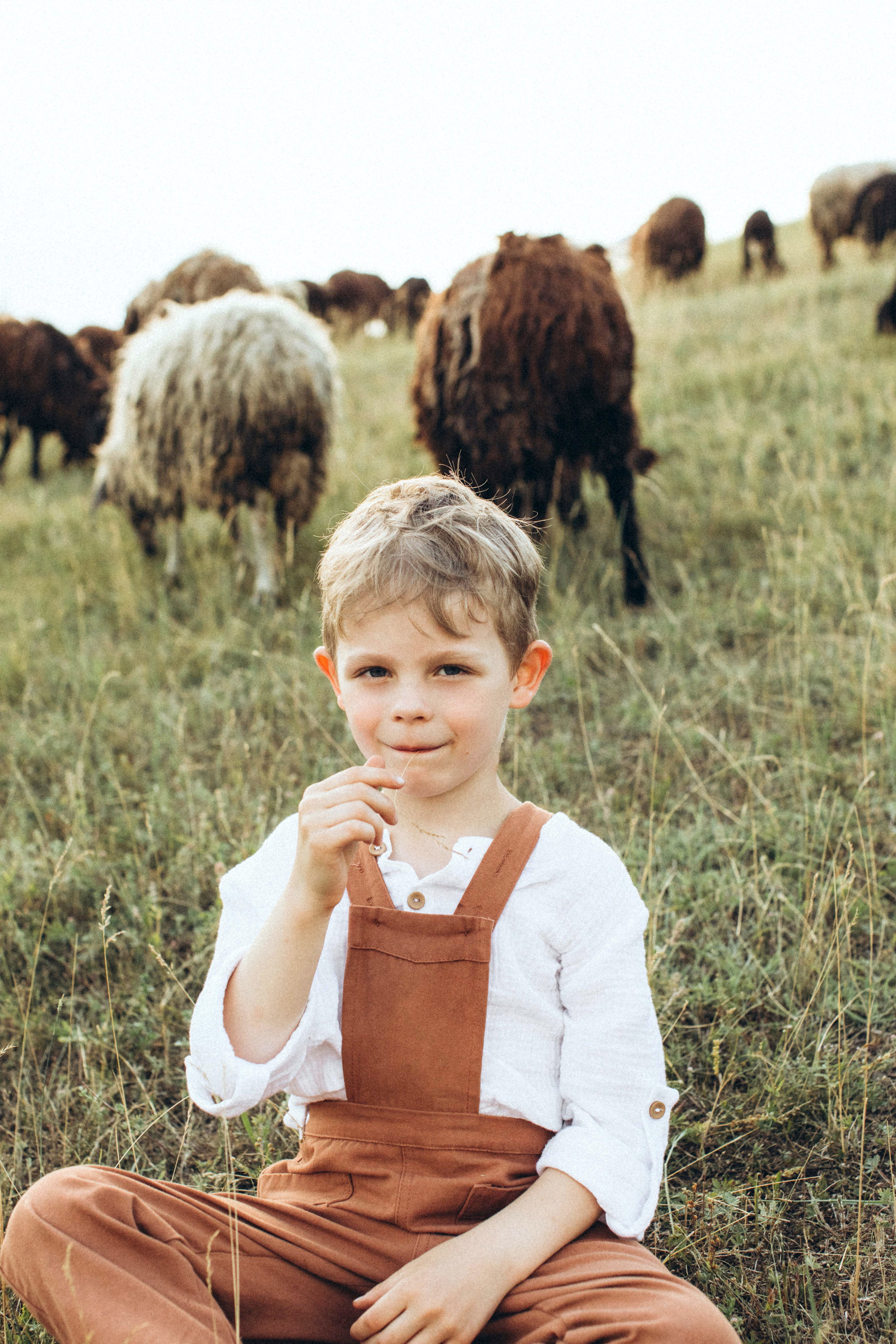 Одного разу на вівчарні: Денис, Віка і Владік. Twolovingsouls™: жіночий портрет і сімейна фотографія Київ | Ірпінь