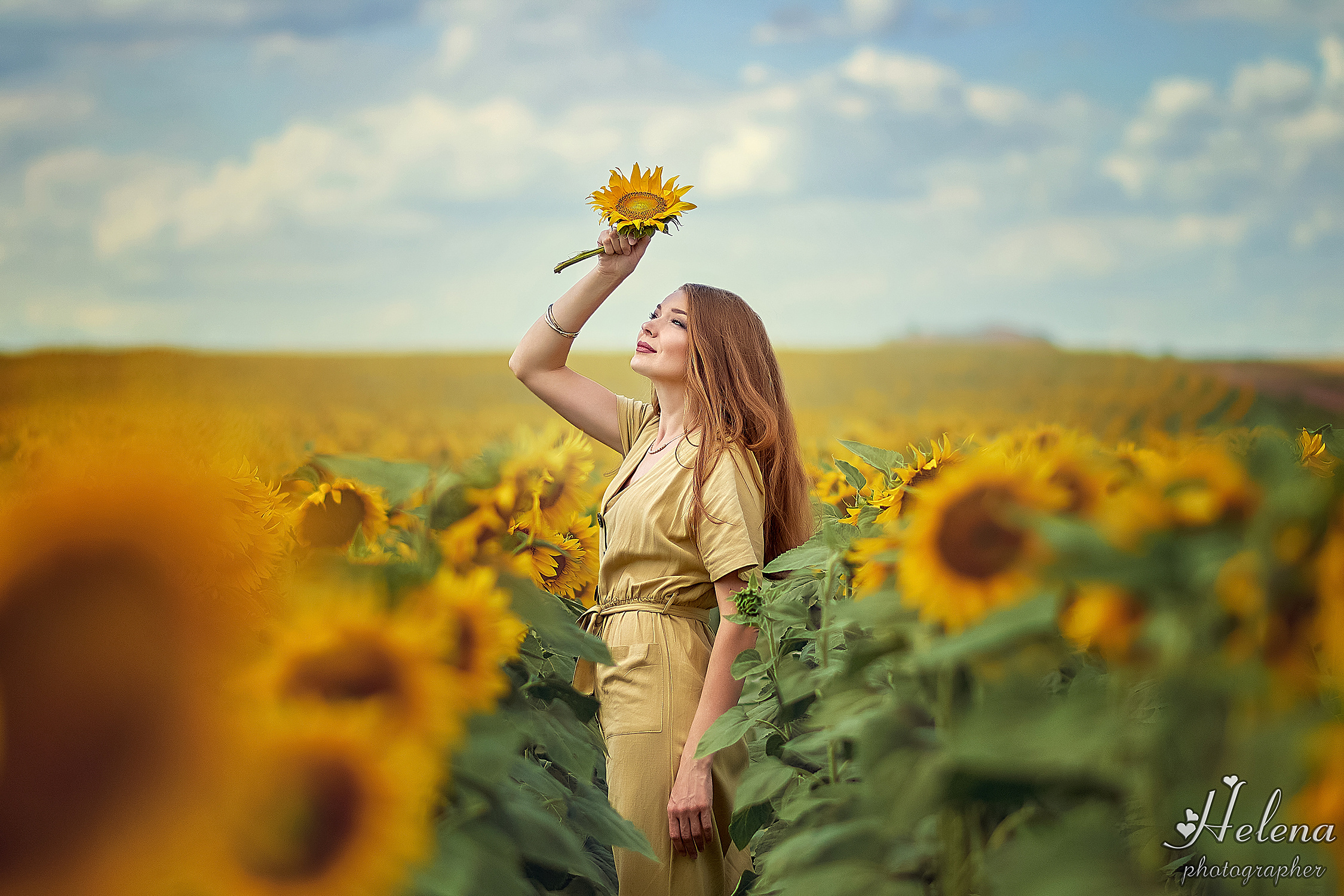 Фотосессия в подсолнухах. Фотограф в Одессе, Киеве, Донецке Helena