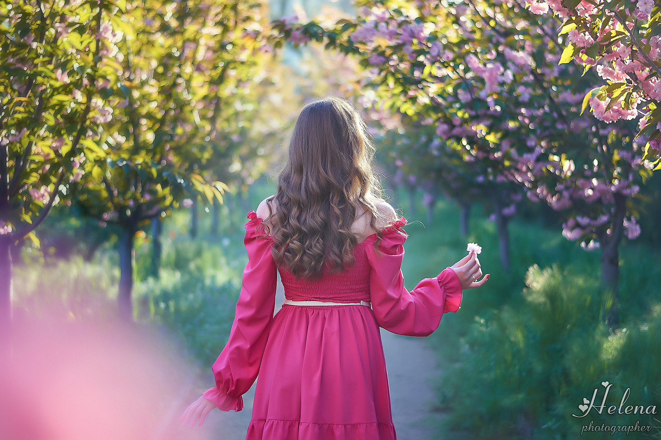 Воздущная съёмка в сакуре для Анастасии. Фотограф в Одессе, Киеве, Донецке Helena