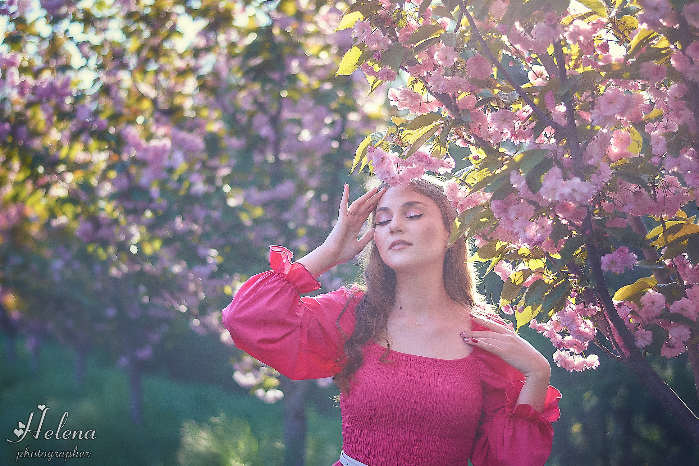 Воздущная съёмка в сакуре для Анастасии. Фотограф в Одессе, Киеве, Донецке Helena