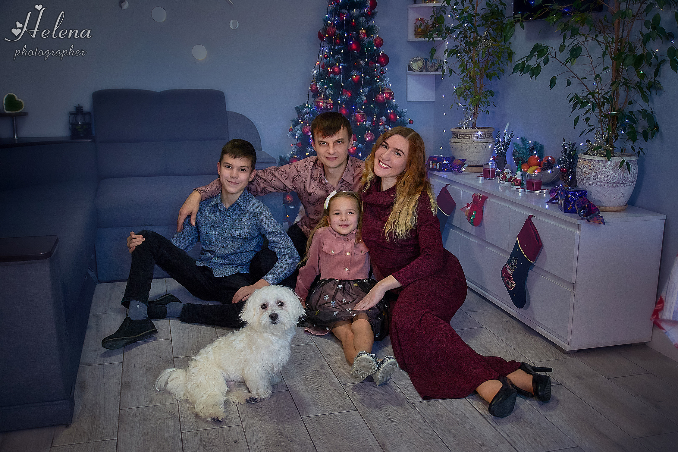 Домашняя новогодняя фотосессия. Фотограф в Одессе, Киеве, Донецке Helena