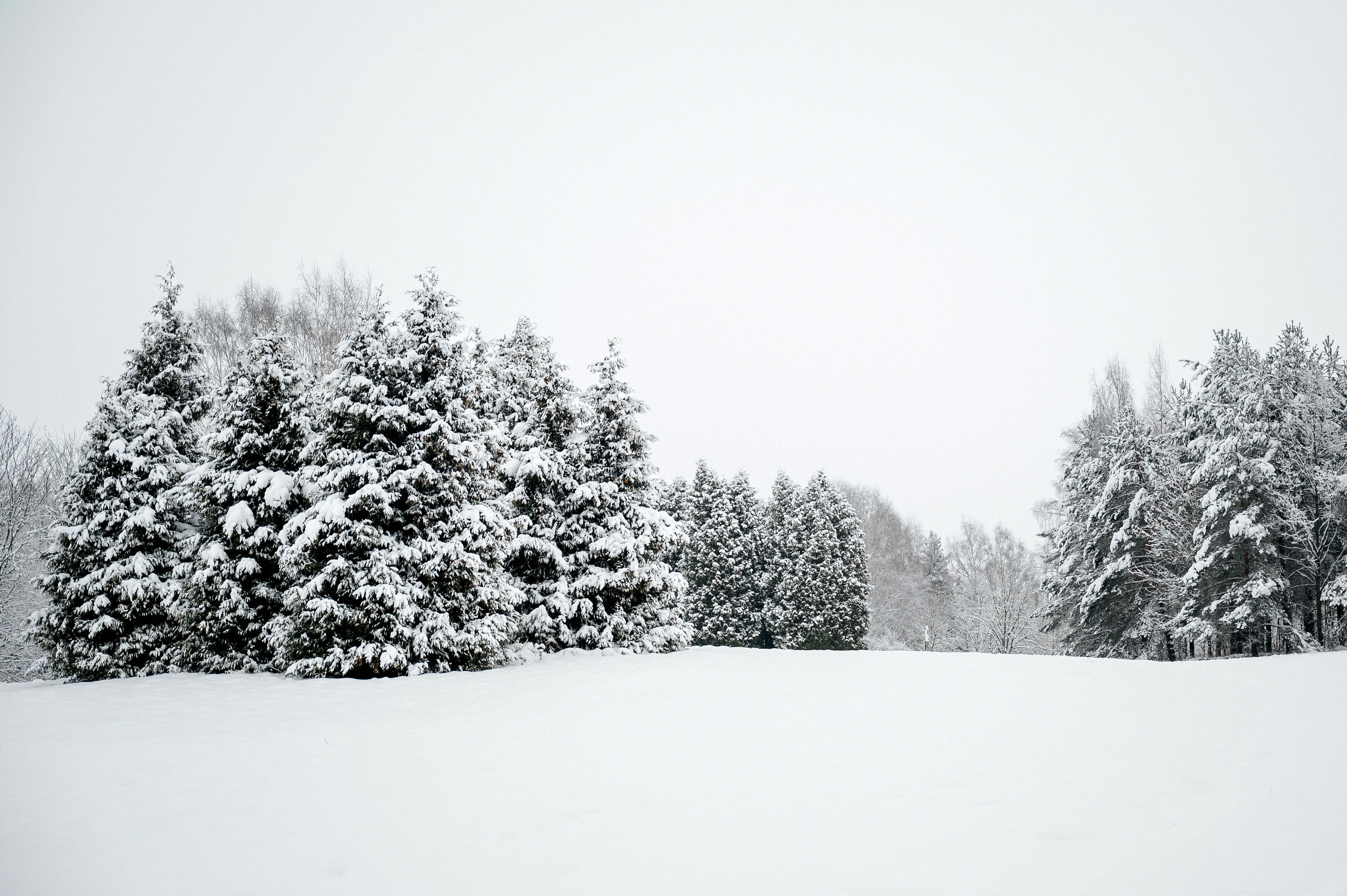 Žiemos pasaka. Vestuvių VIDEO ir FOTO komanda