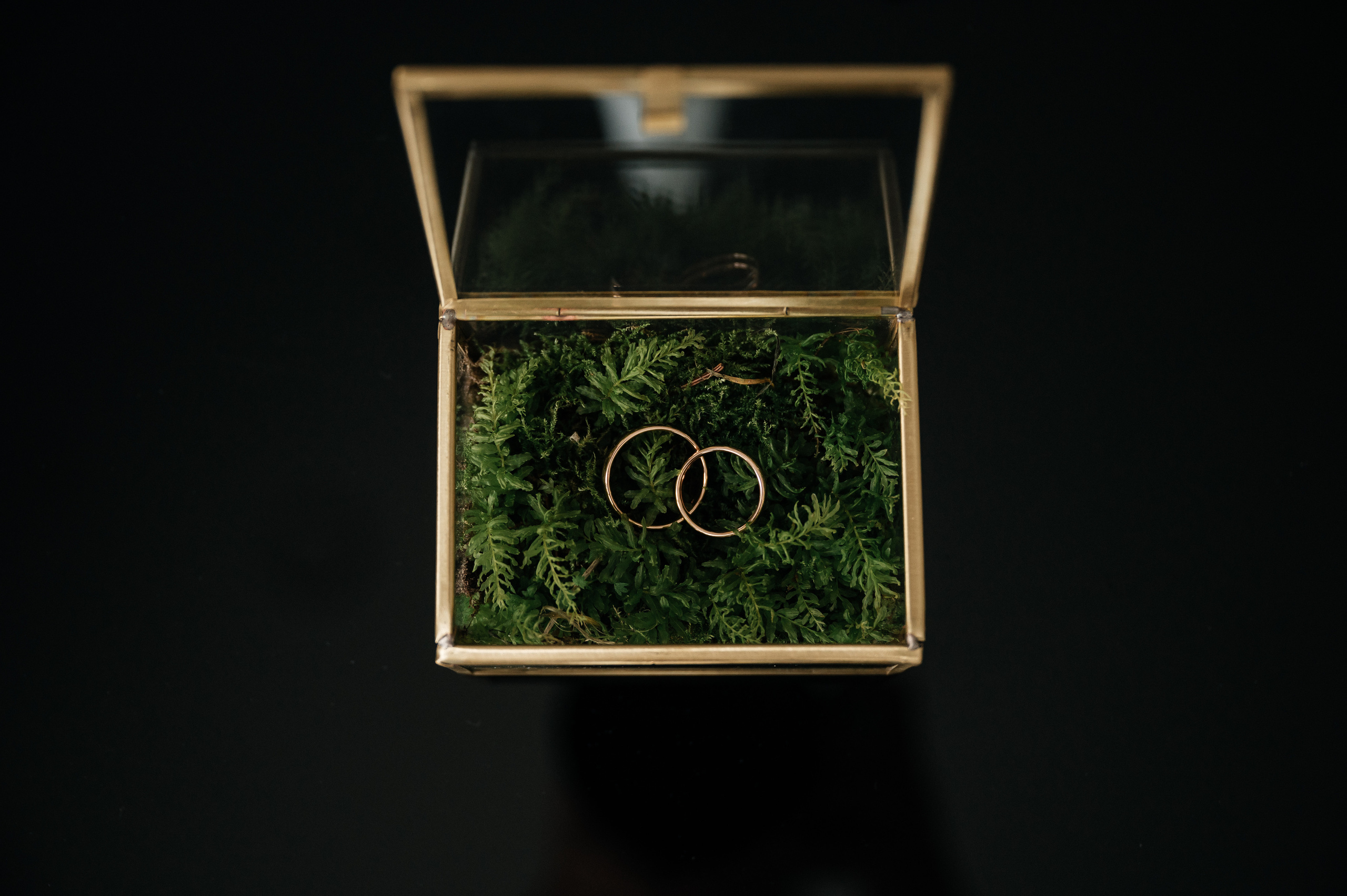 Lukas ir Dovilė. Vestuvių nuotraukos ir video Lietuvoje