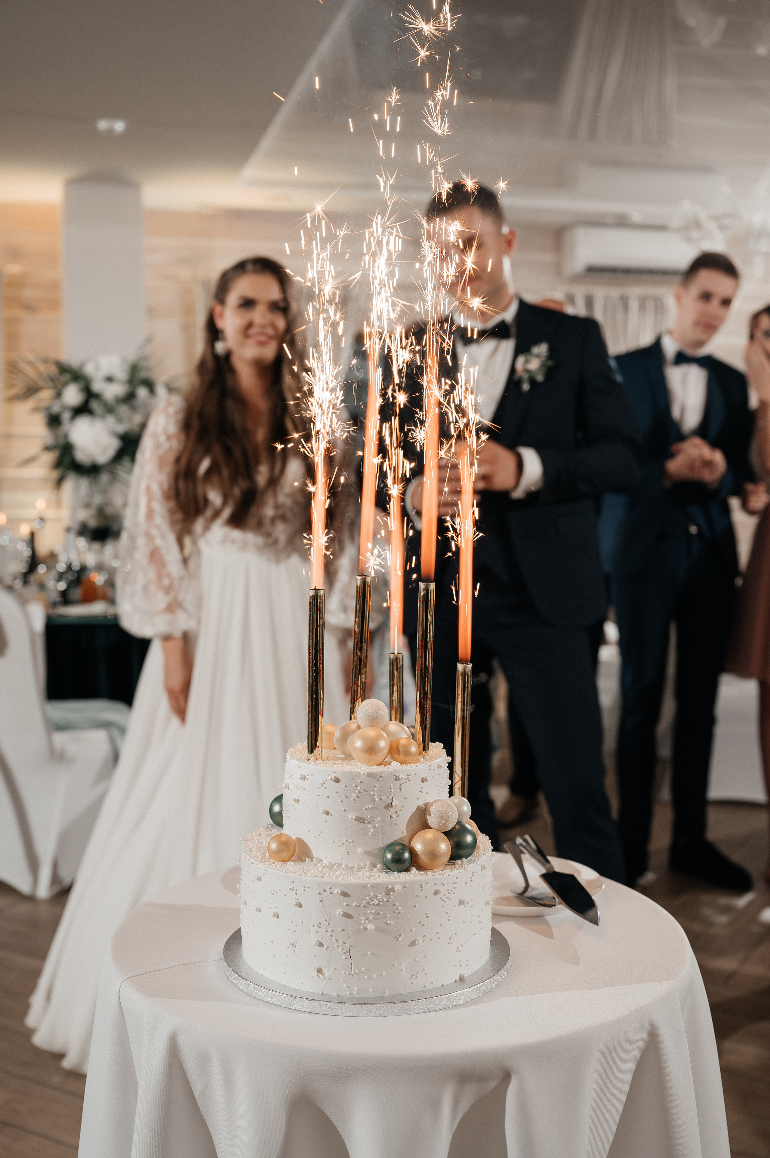 Lukas ir Dovilė. Vestuvių nuotraukos ir video Lietuvoje