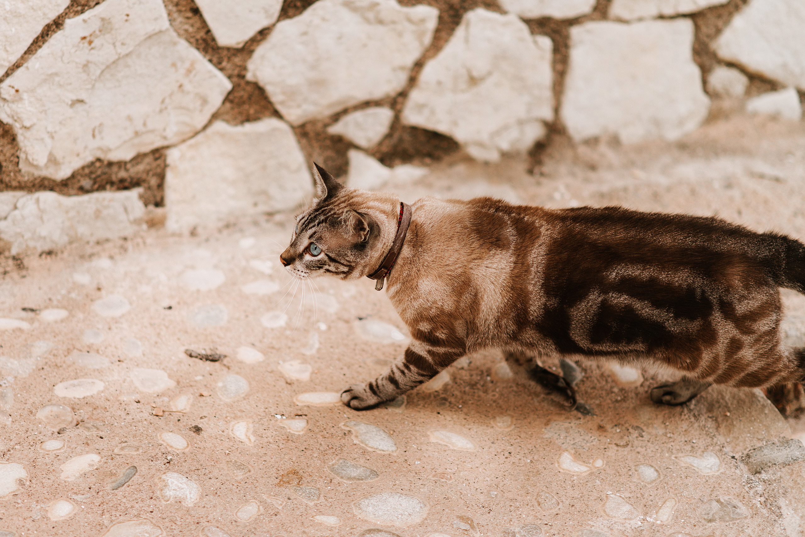 Altea, Spain. Vestuvių nuotraukos ir video Lietuvoje