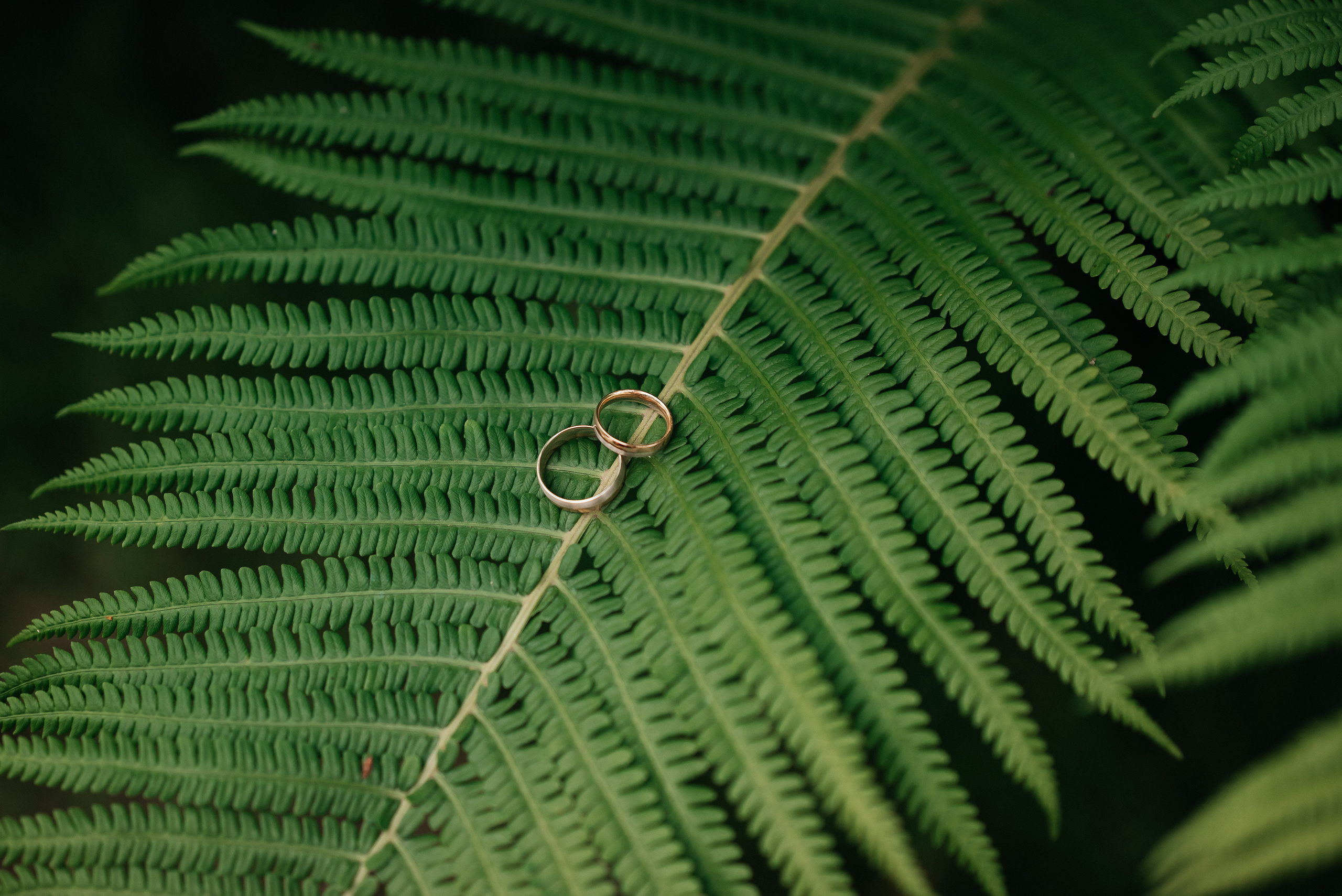 Denis ir Ieva. Vestuvių VIDEO ir FOTO komanda