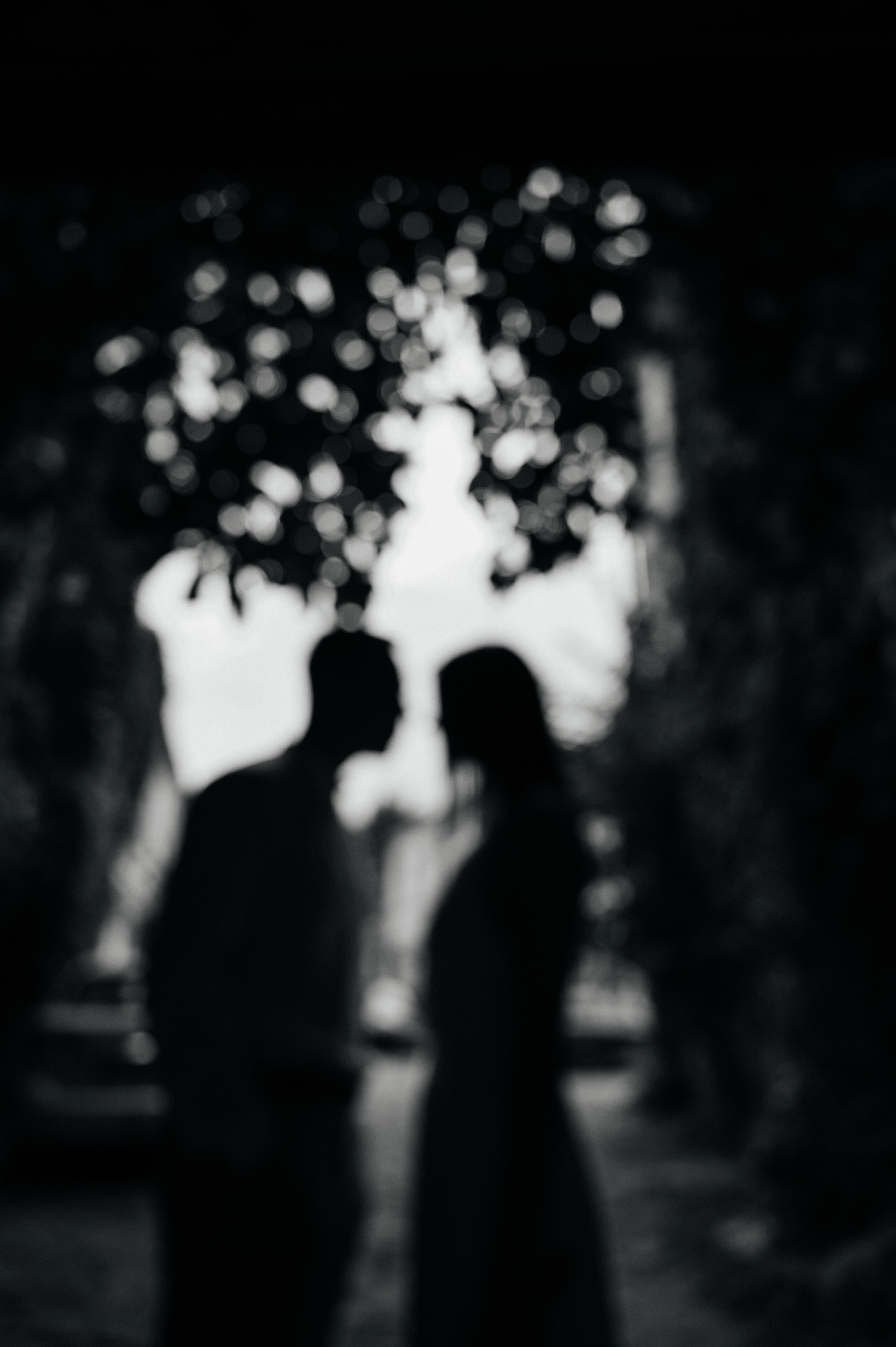 Ruslan ir Ana. Vestuvių nuotraukos ir video Lietuvoje