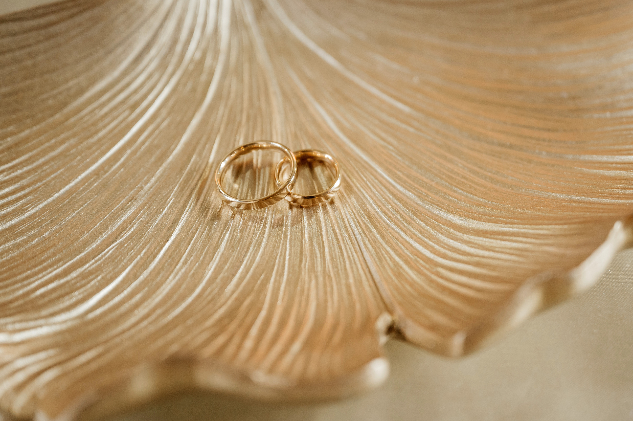 Mantas ir Akvilė. Vestuvių nuotraukos ir video Lietuvoje