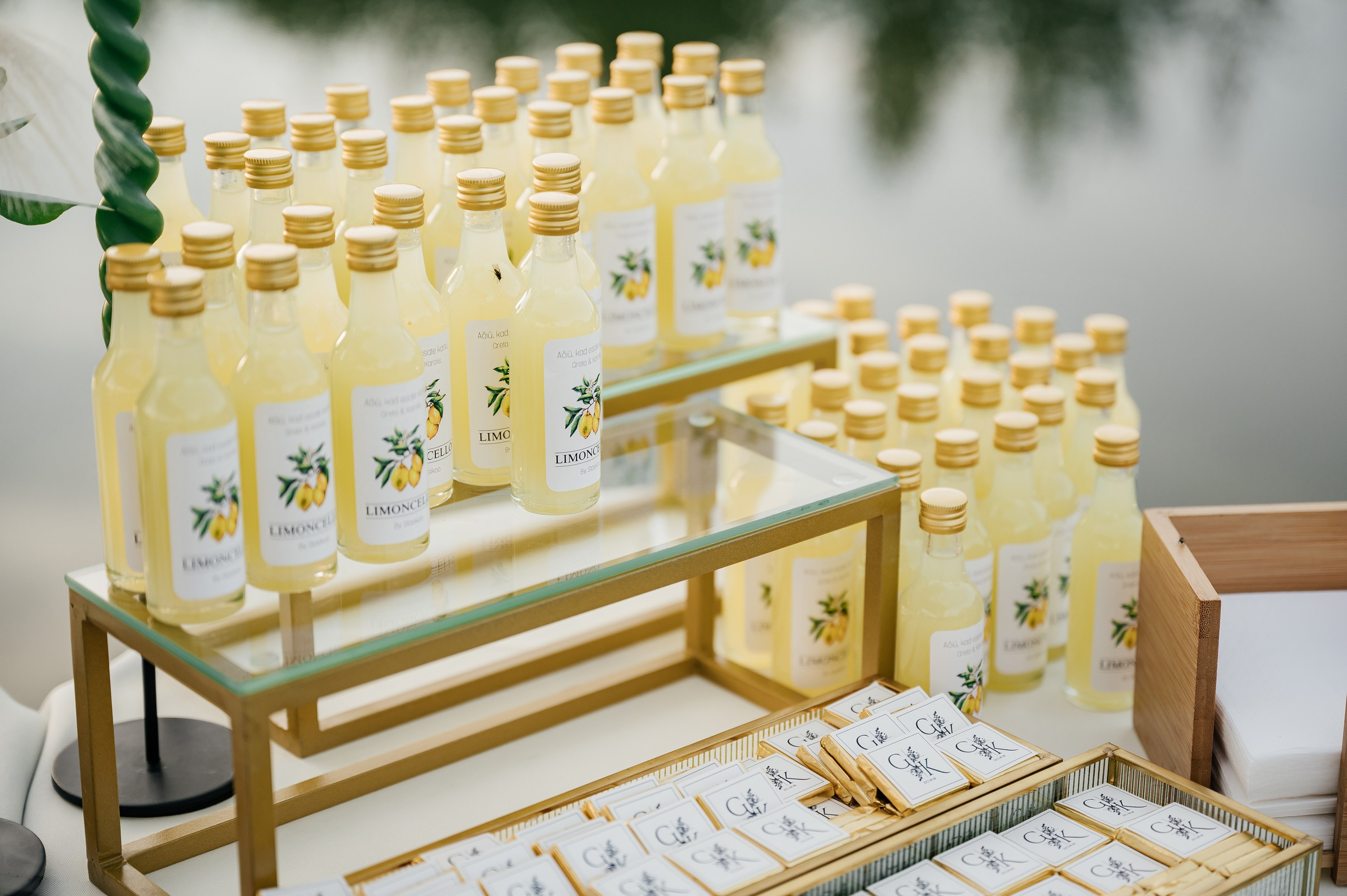 Karolis ir Greta. Vestuvių nuotraukos ir video Lietuvoje