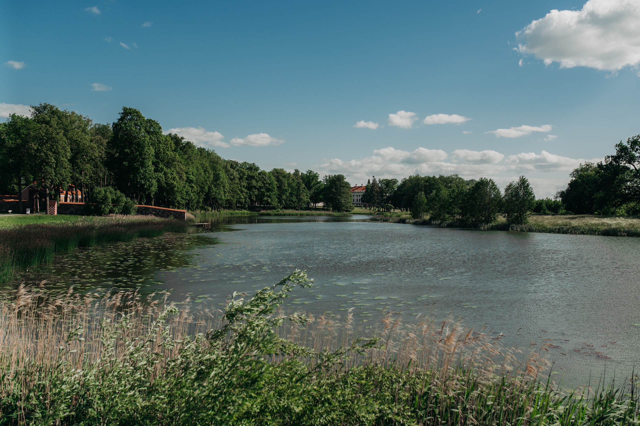 Jonas ir Emilita. Vestuvių nuotraukos ir video Lietuvoje