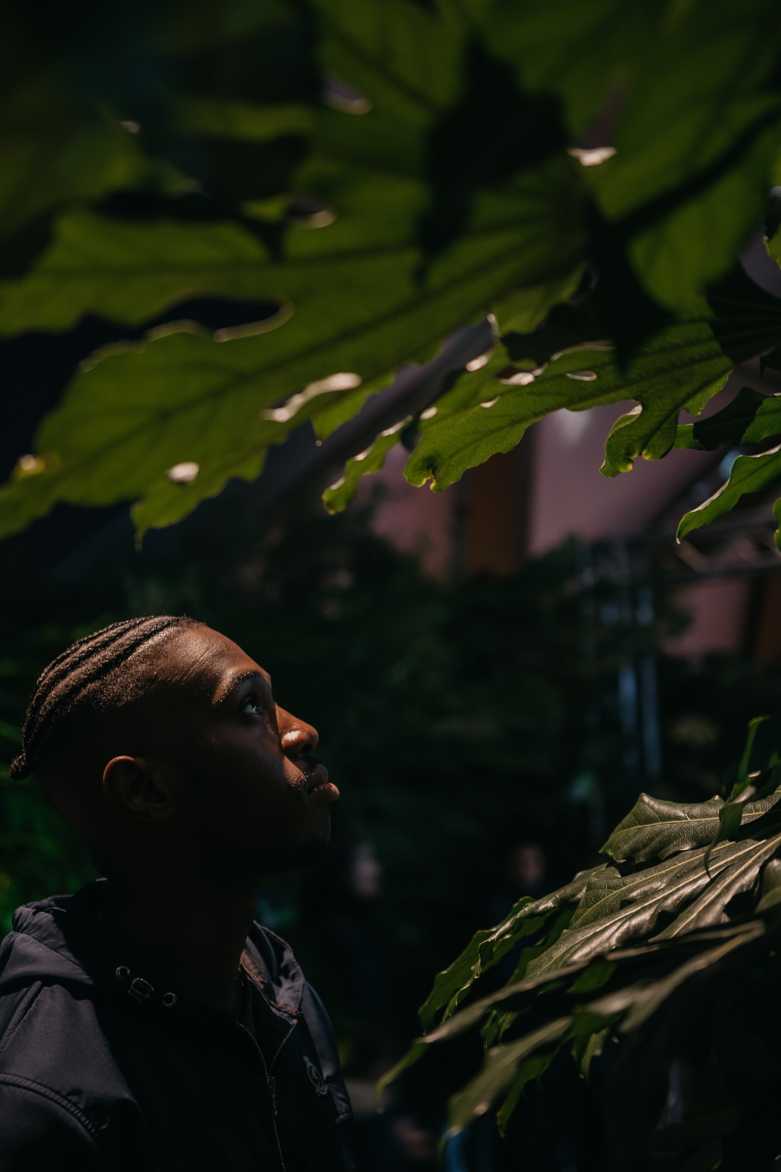 Beyound. Luviar by Mihai Andrei Popa