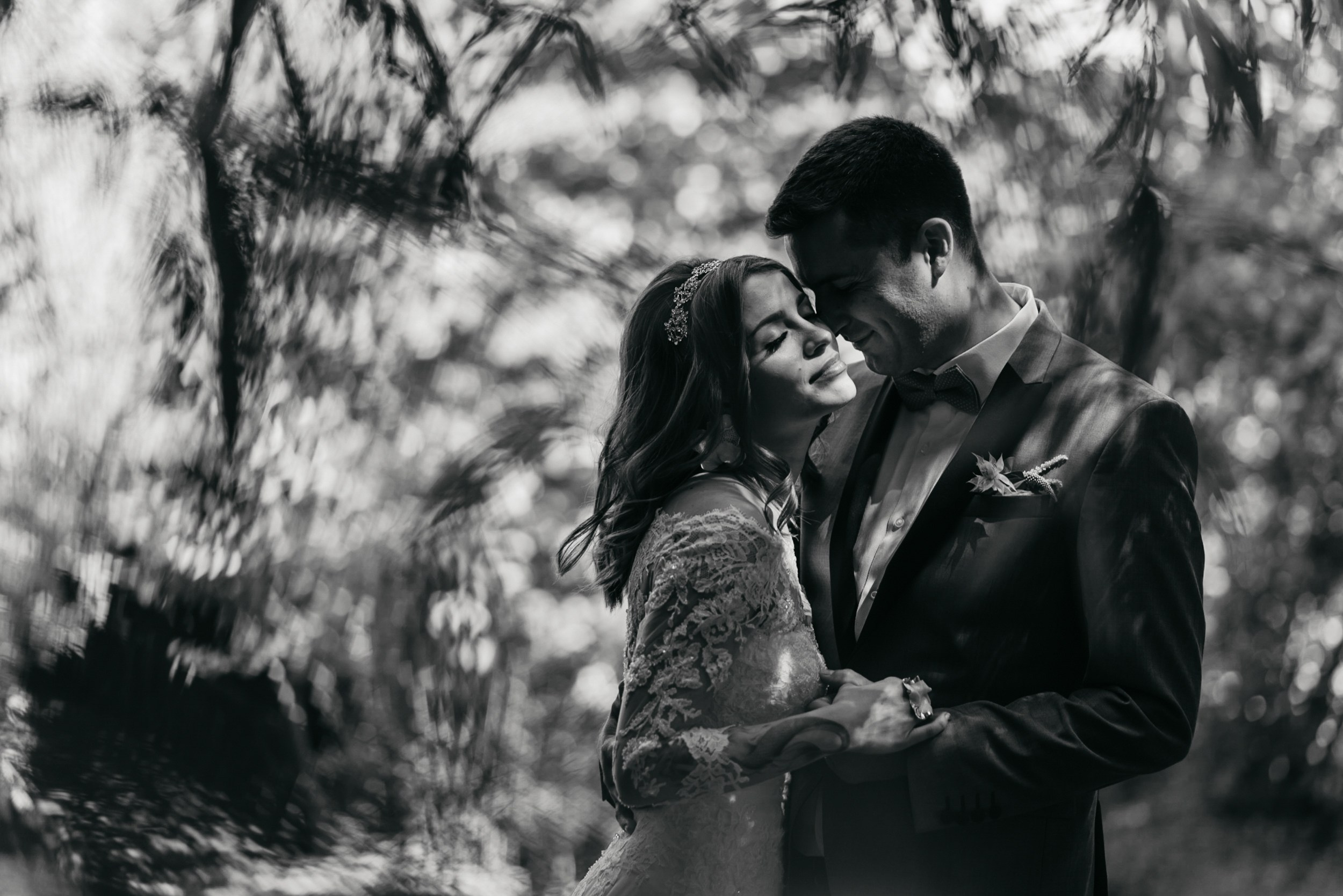 Essence. Luviar by Mihai Andrei Popa