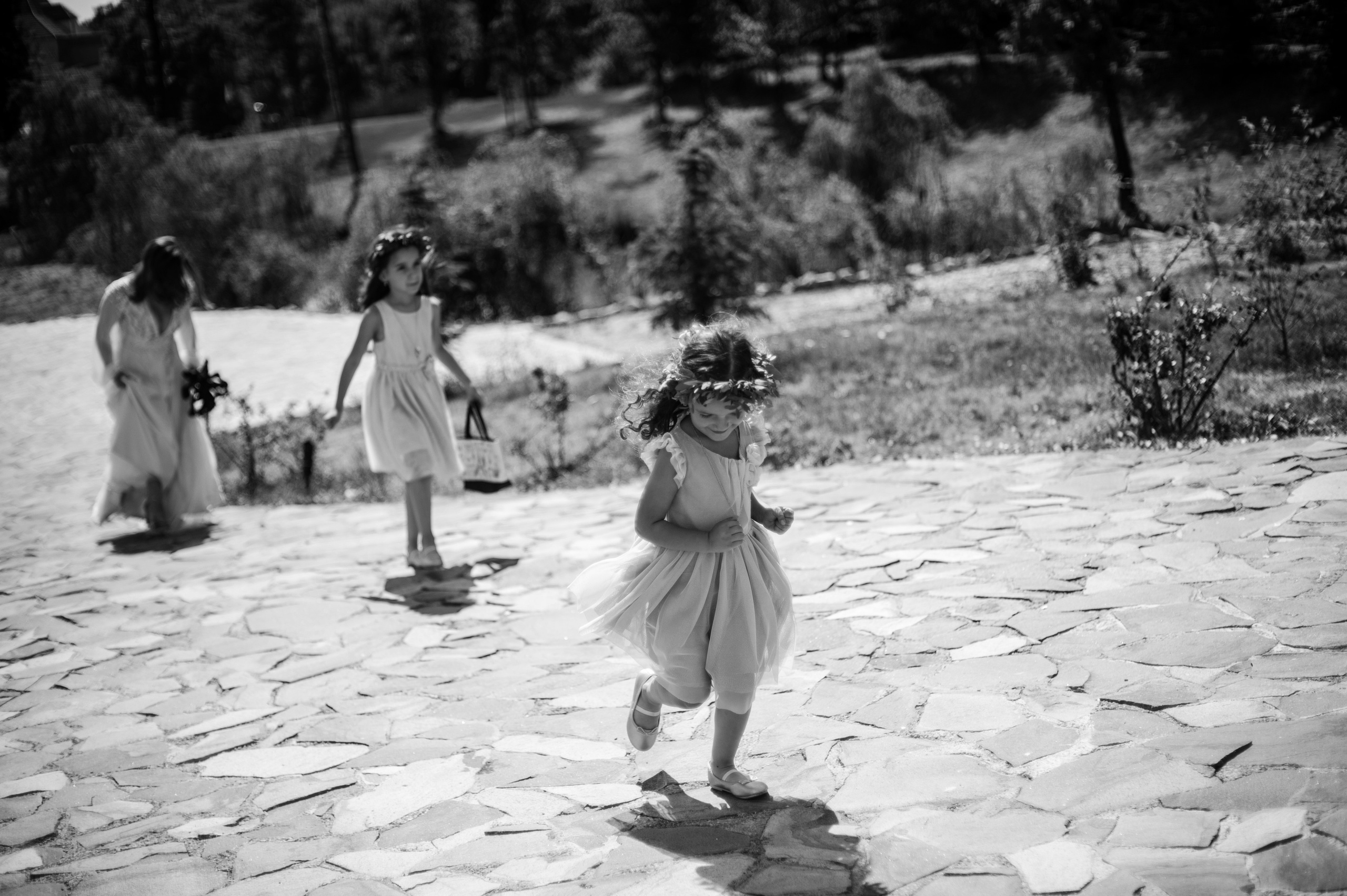 Essence. Luviar by Mihai Andrei Popa