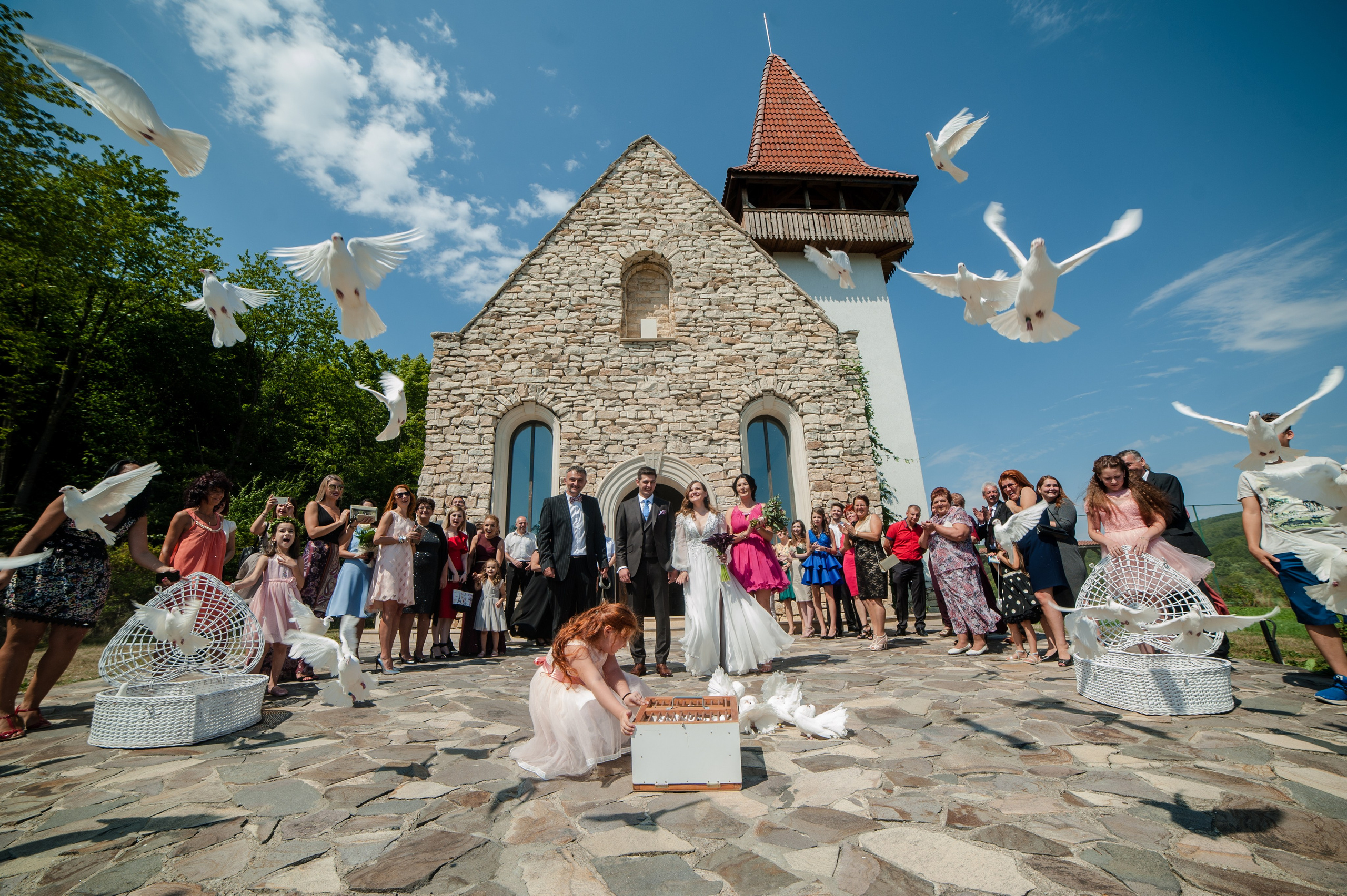 Essence. Luviar by Mihai Andrei Popa