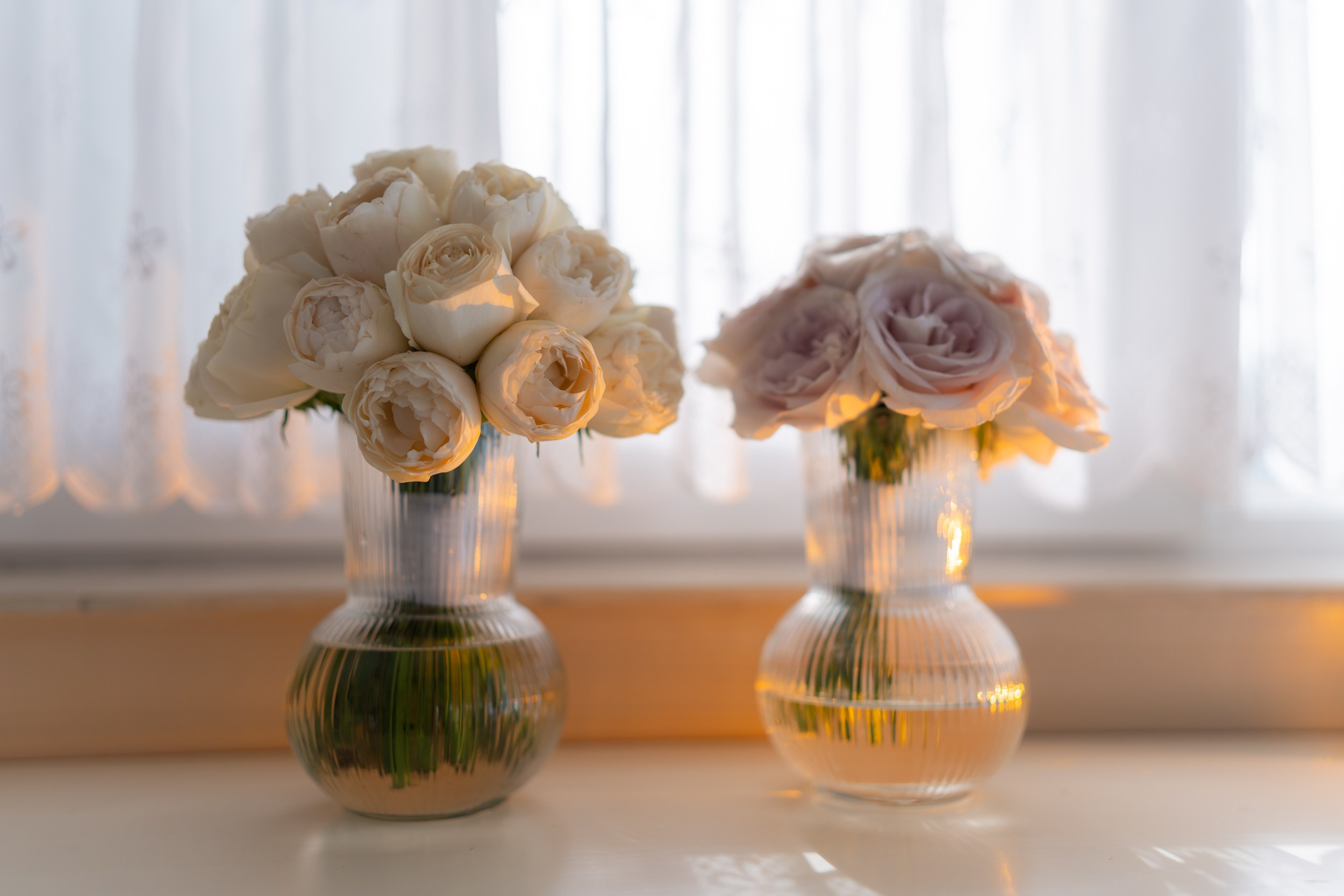 Sorana & Alexandru. Luviar by Mihai Andrei Popa