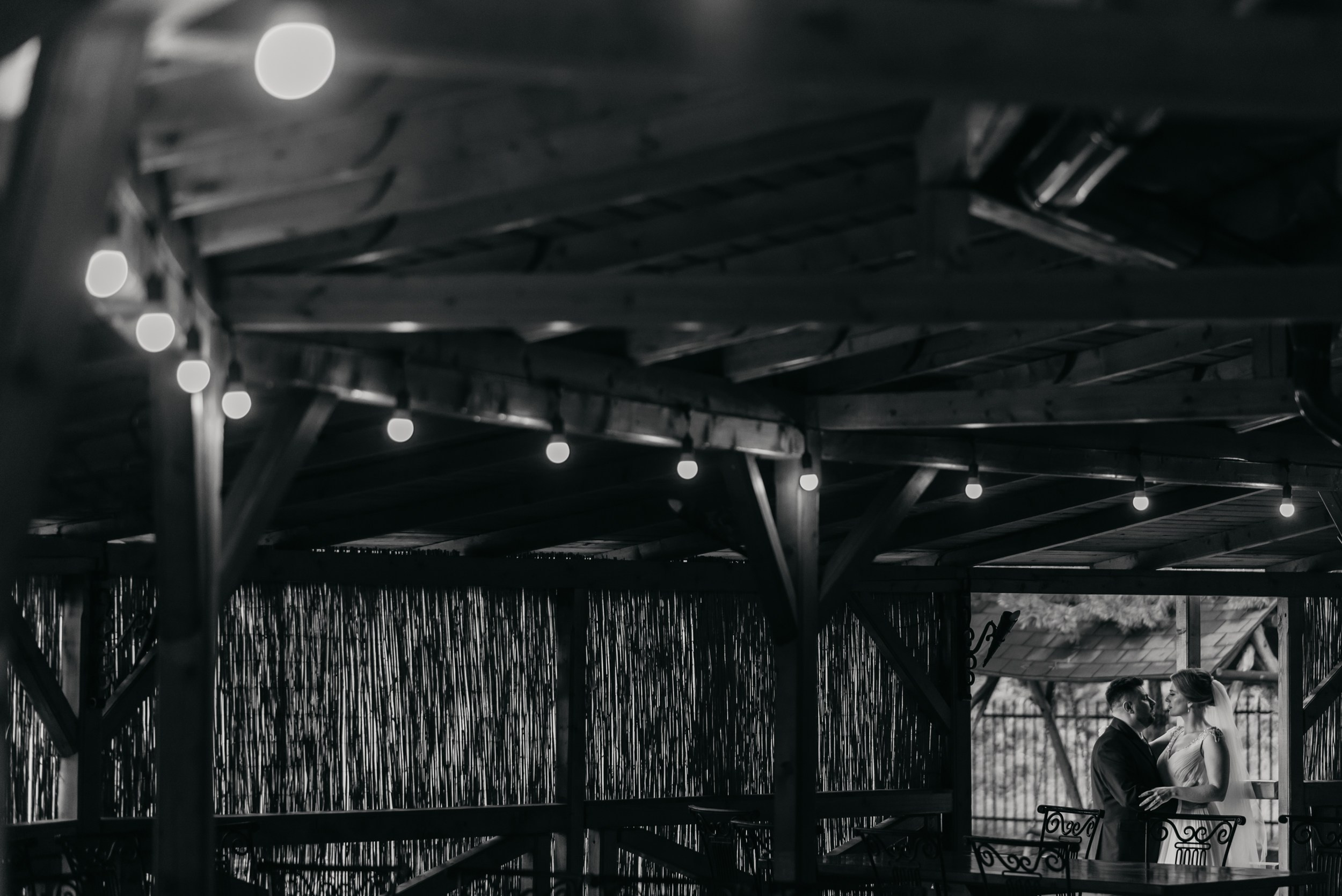 Essence. Luviar by Mihai Andrei Popa