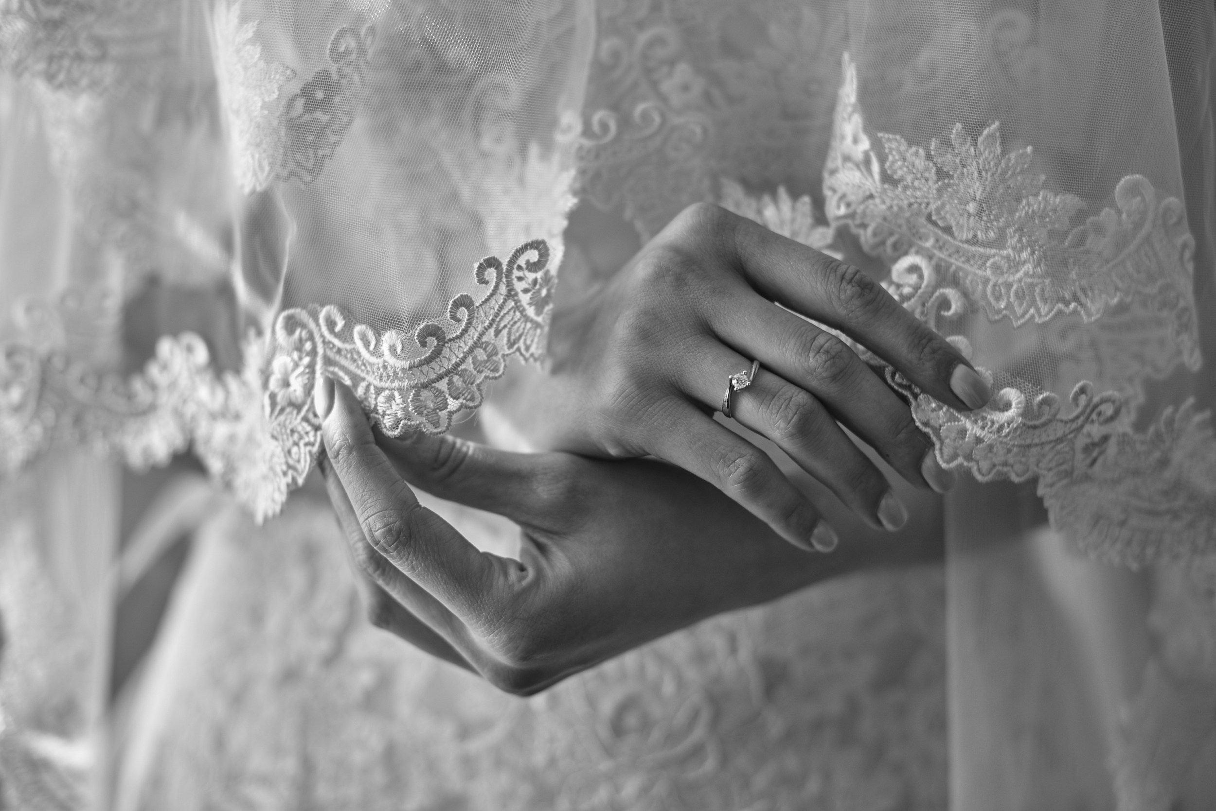 Essence. Luviar by Mihai Andrei Popa