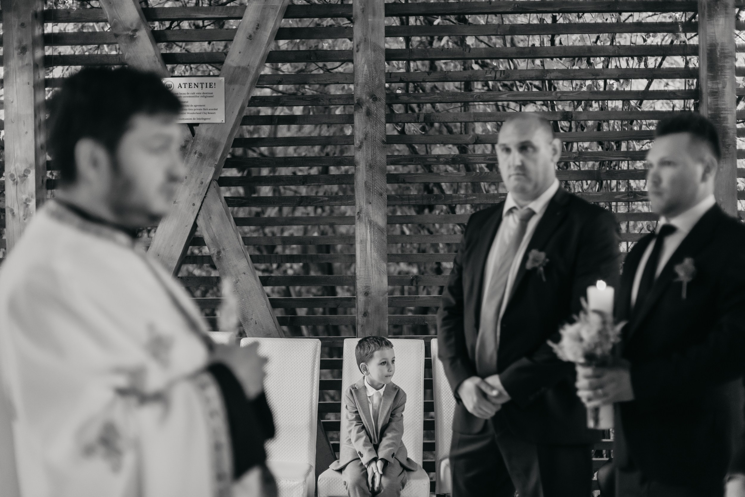 Essence. Luviar by Mihai Andrei Popa