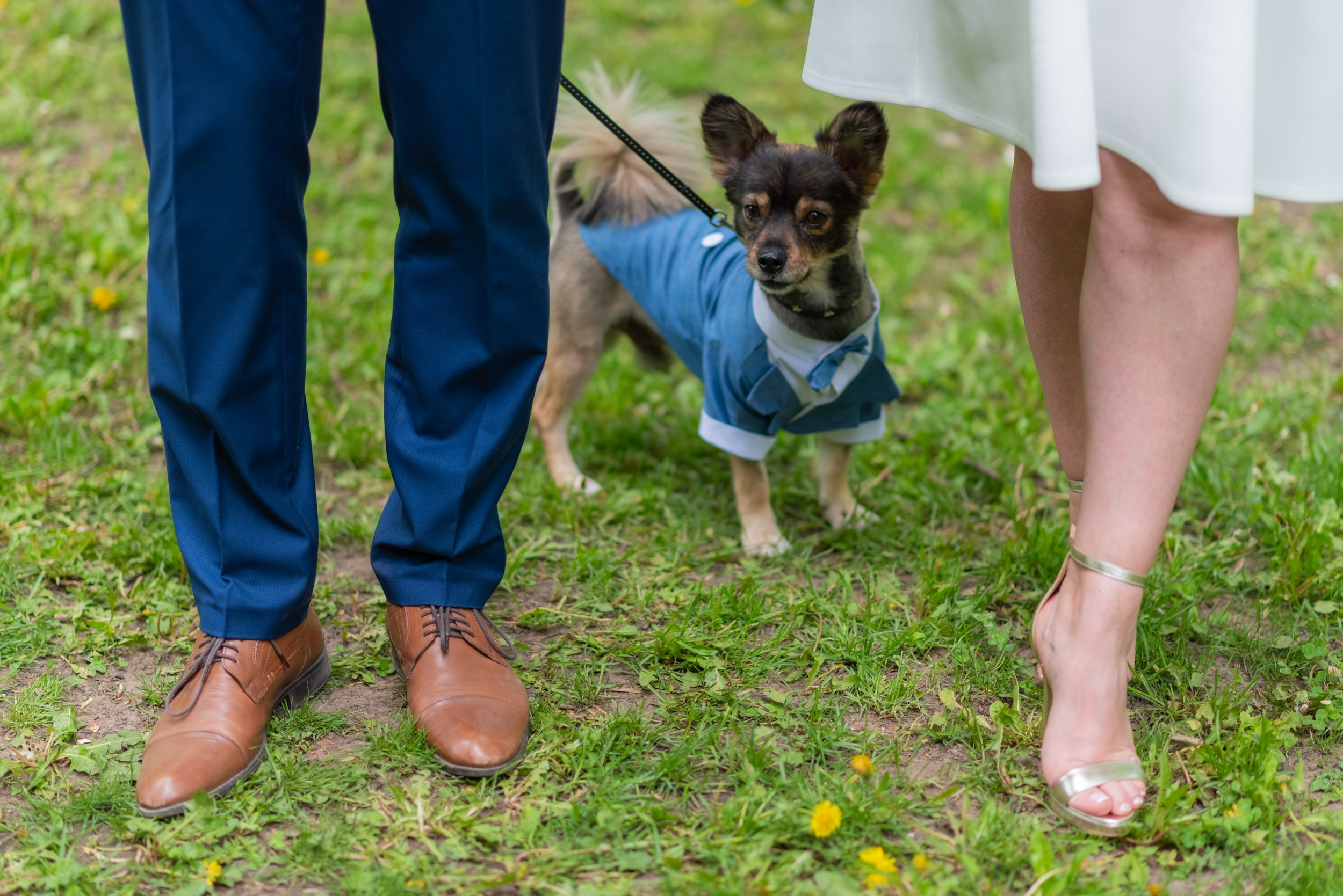 Essence. Luviar by Mihai Andrei Popa