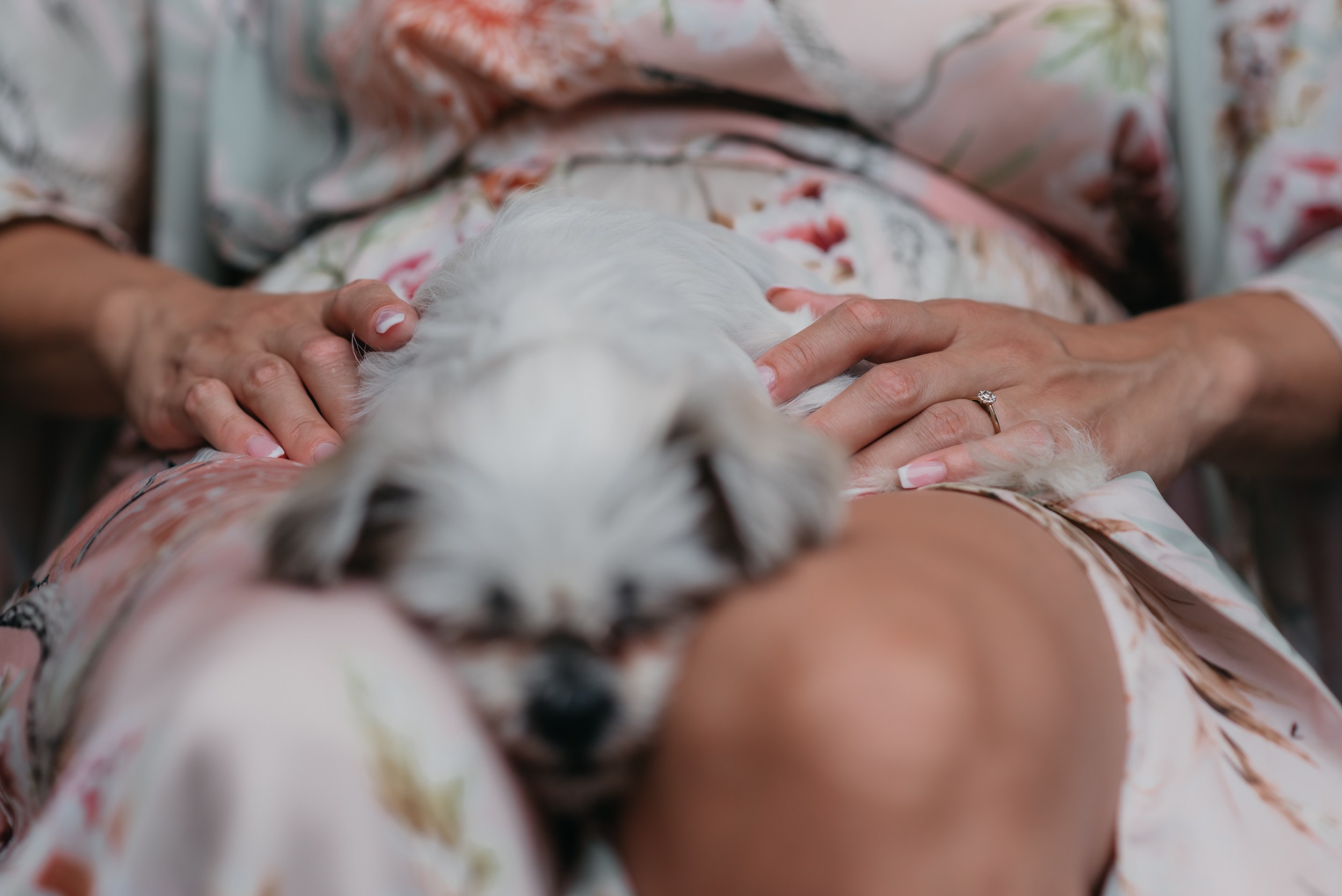 Essence. Luviar by Mihai Andrei Popa