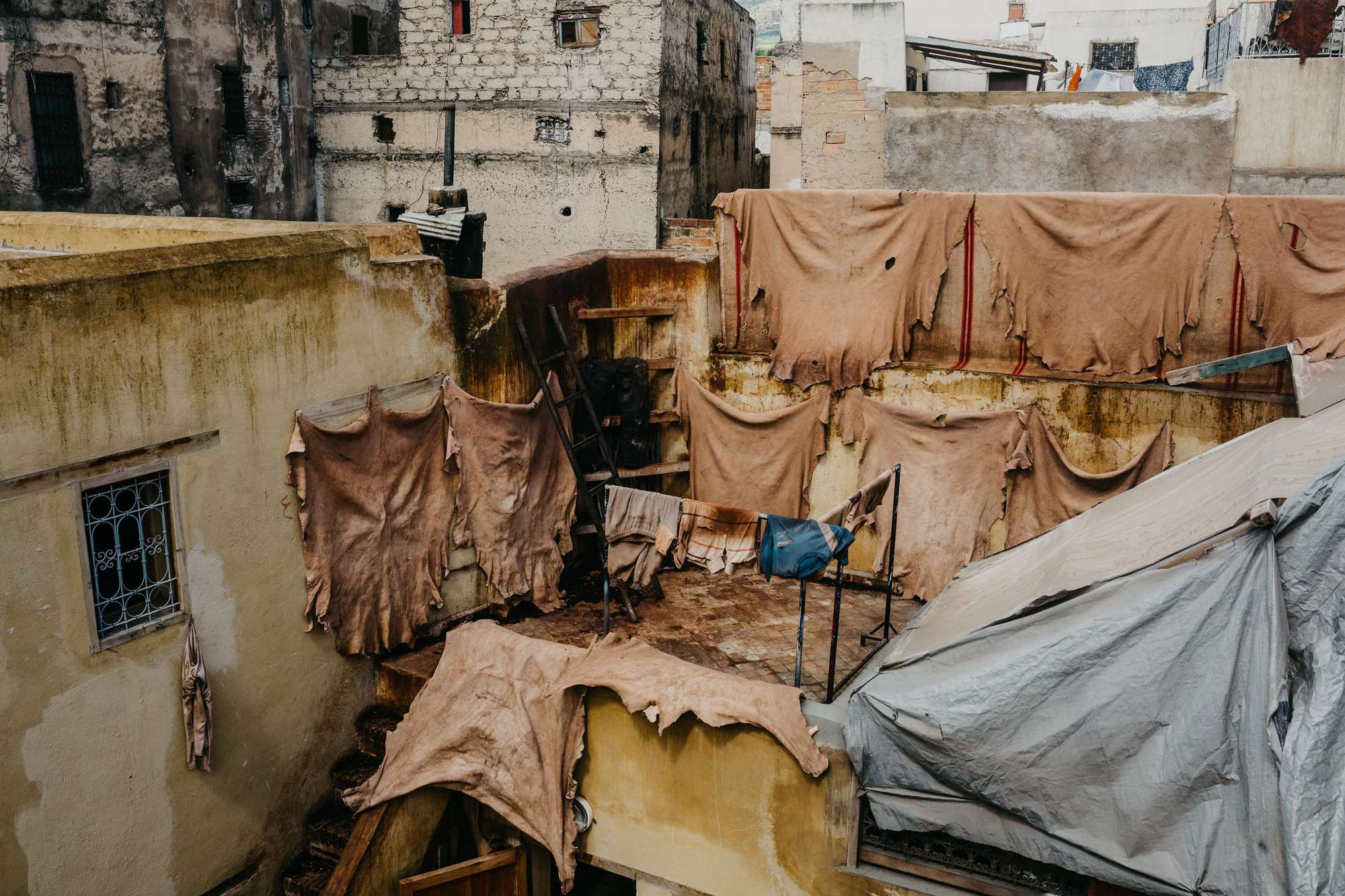 Morocco. Fez. Головна