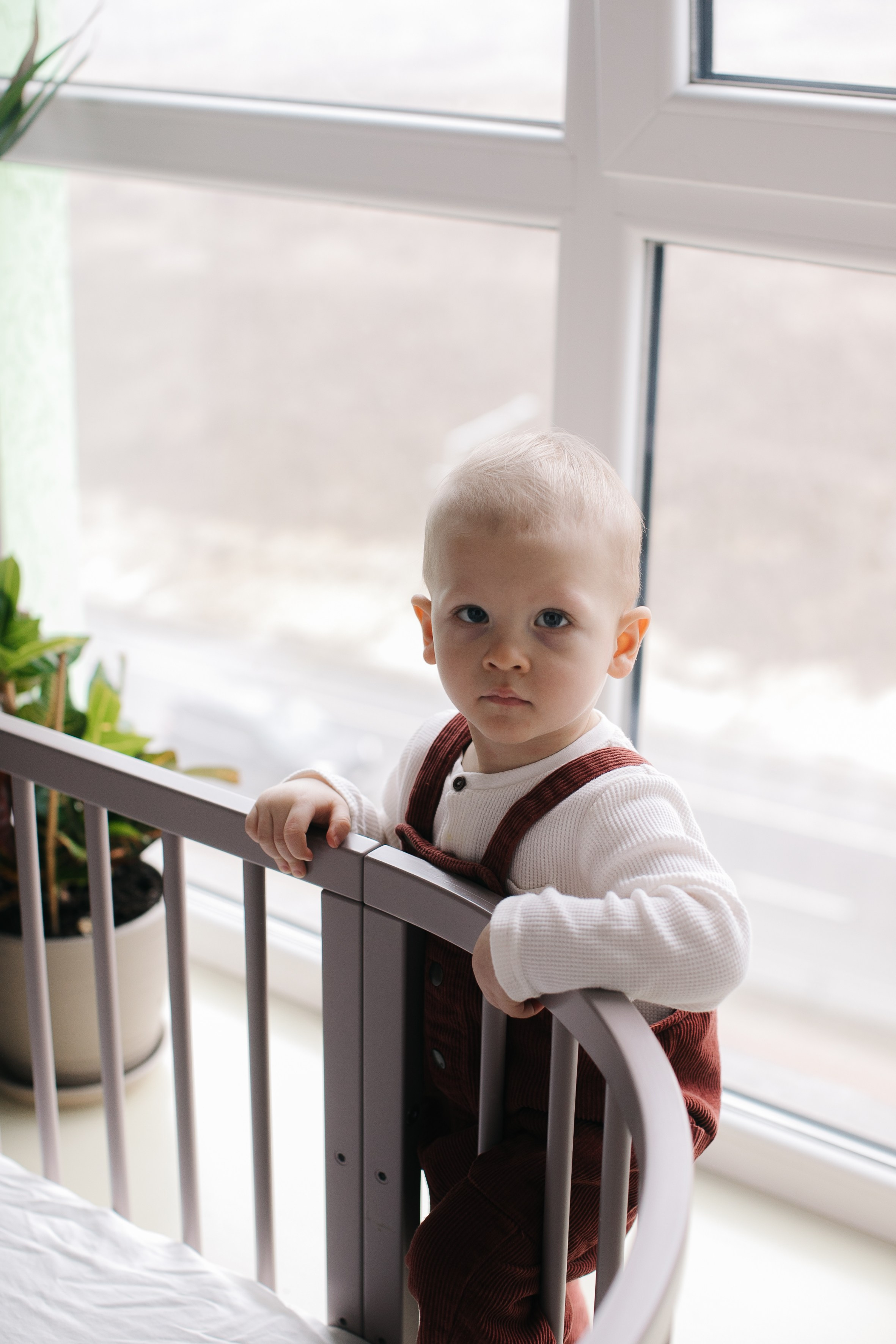 Іра, Богдан та Влад. Головна