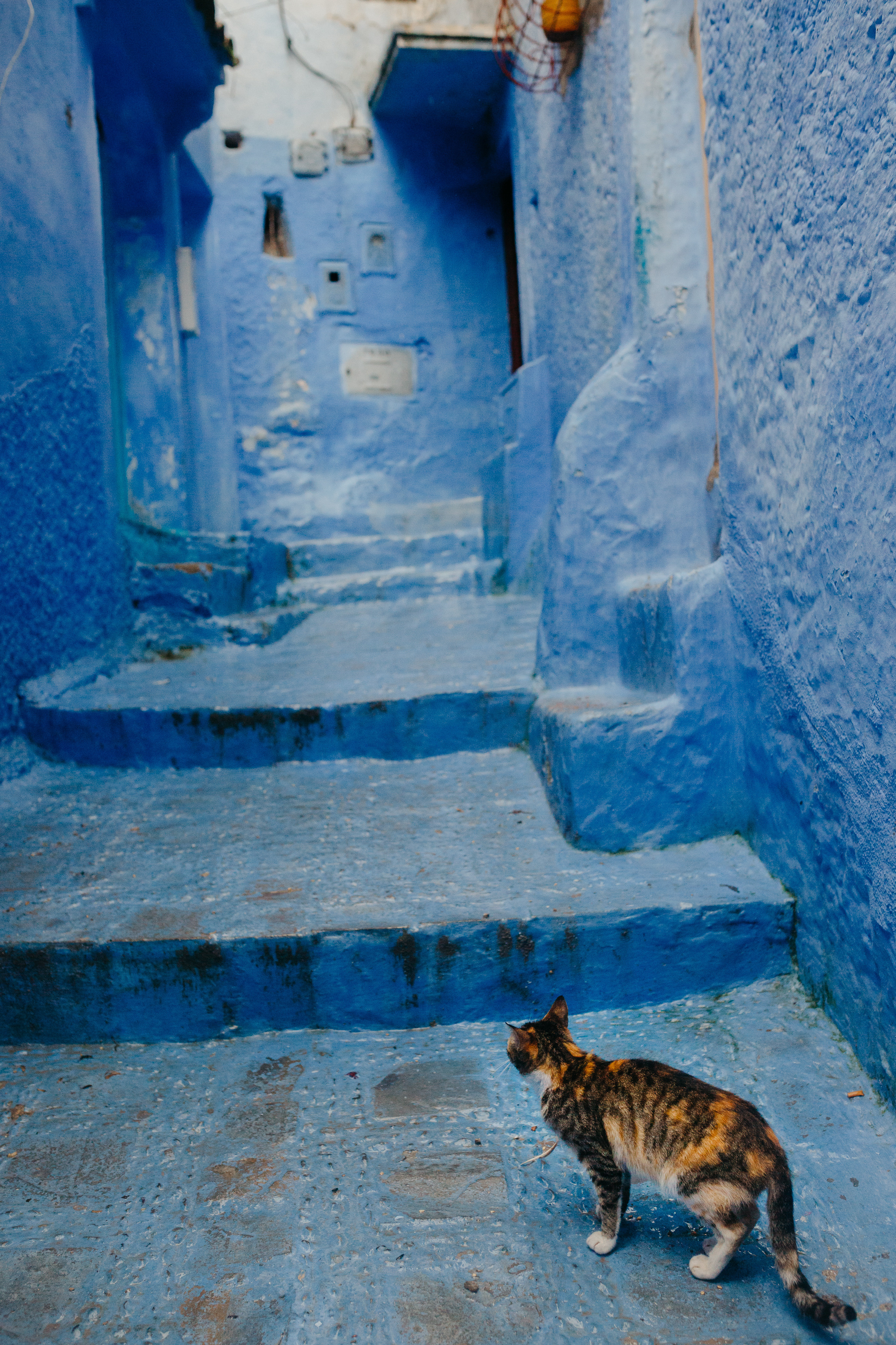 Morocco. Сhefchaouen. Головна