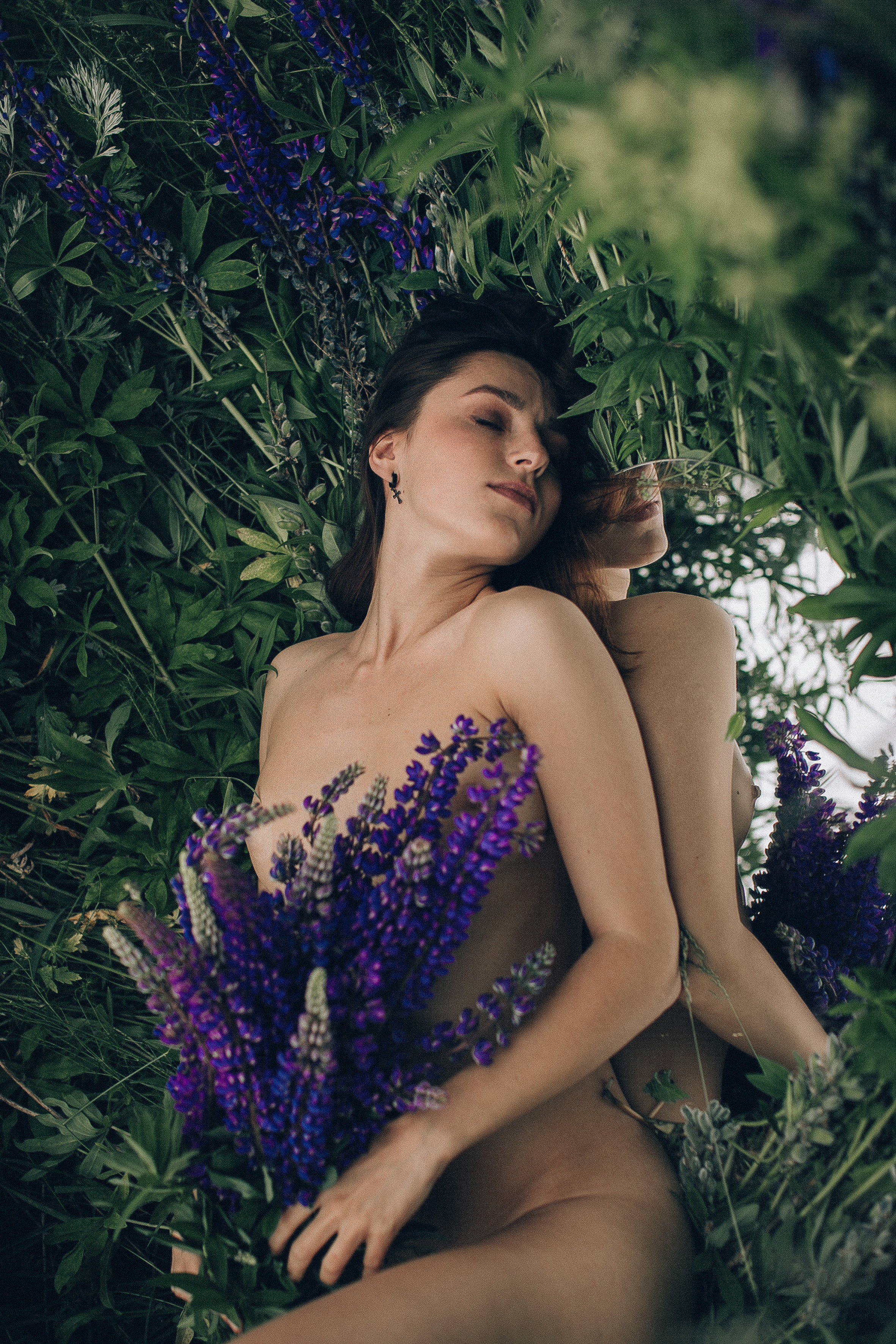 Тихий люпин. Головна