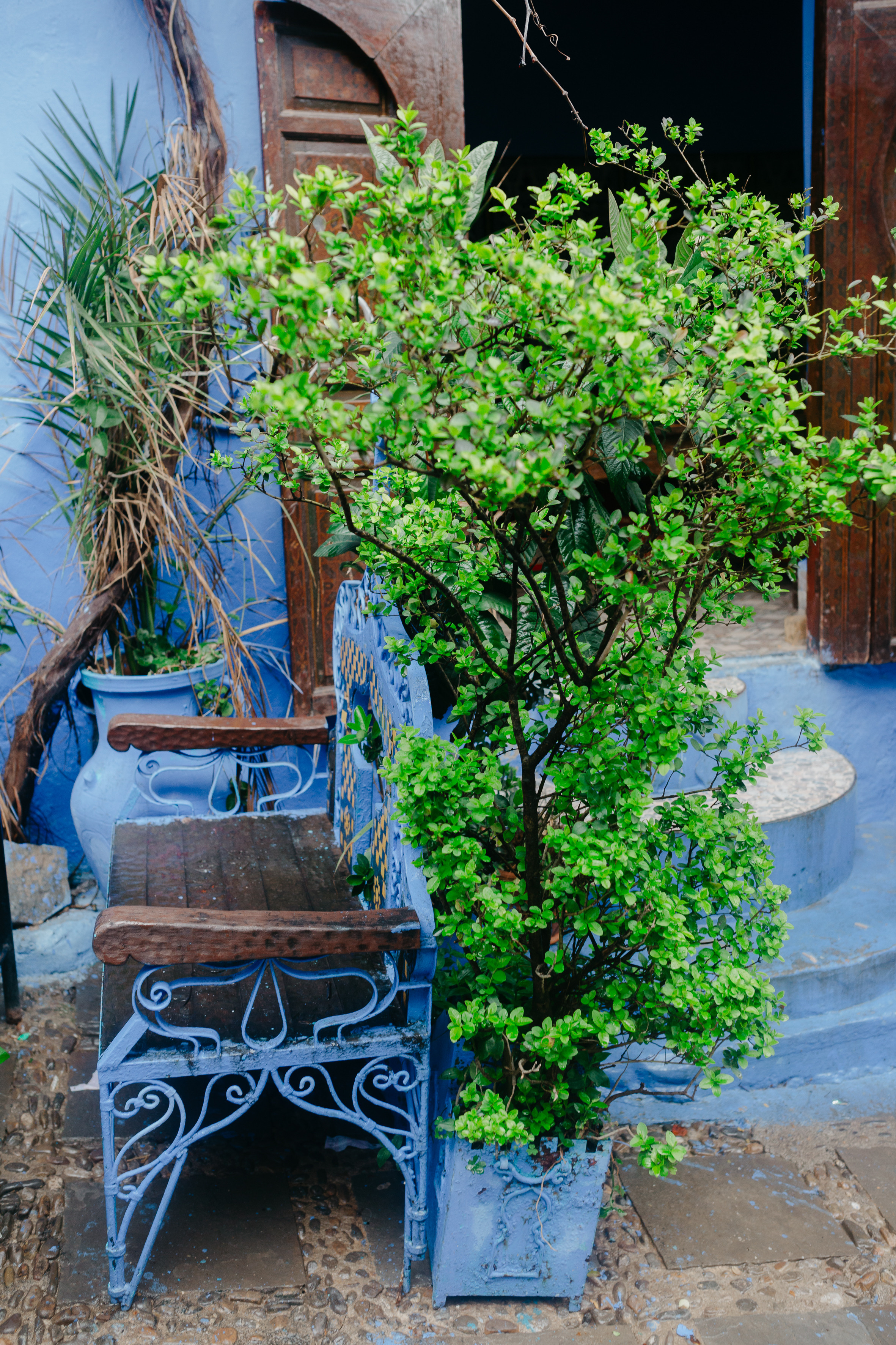 Morocco. Сhefchaouen. Головна